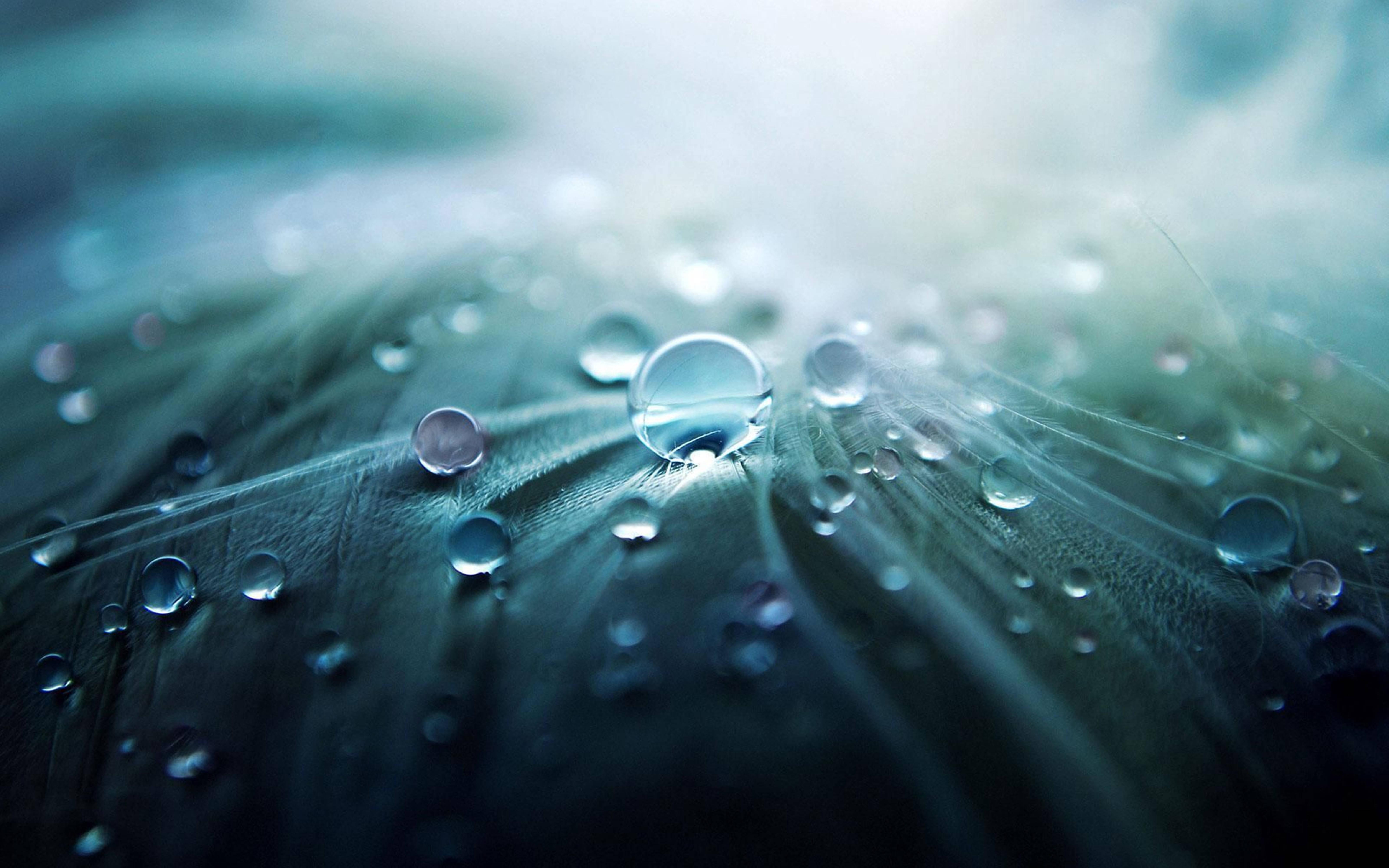 3D HD Dew Drops — 6400x4000 wallpaper