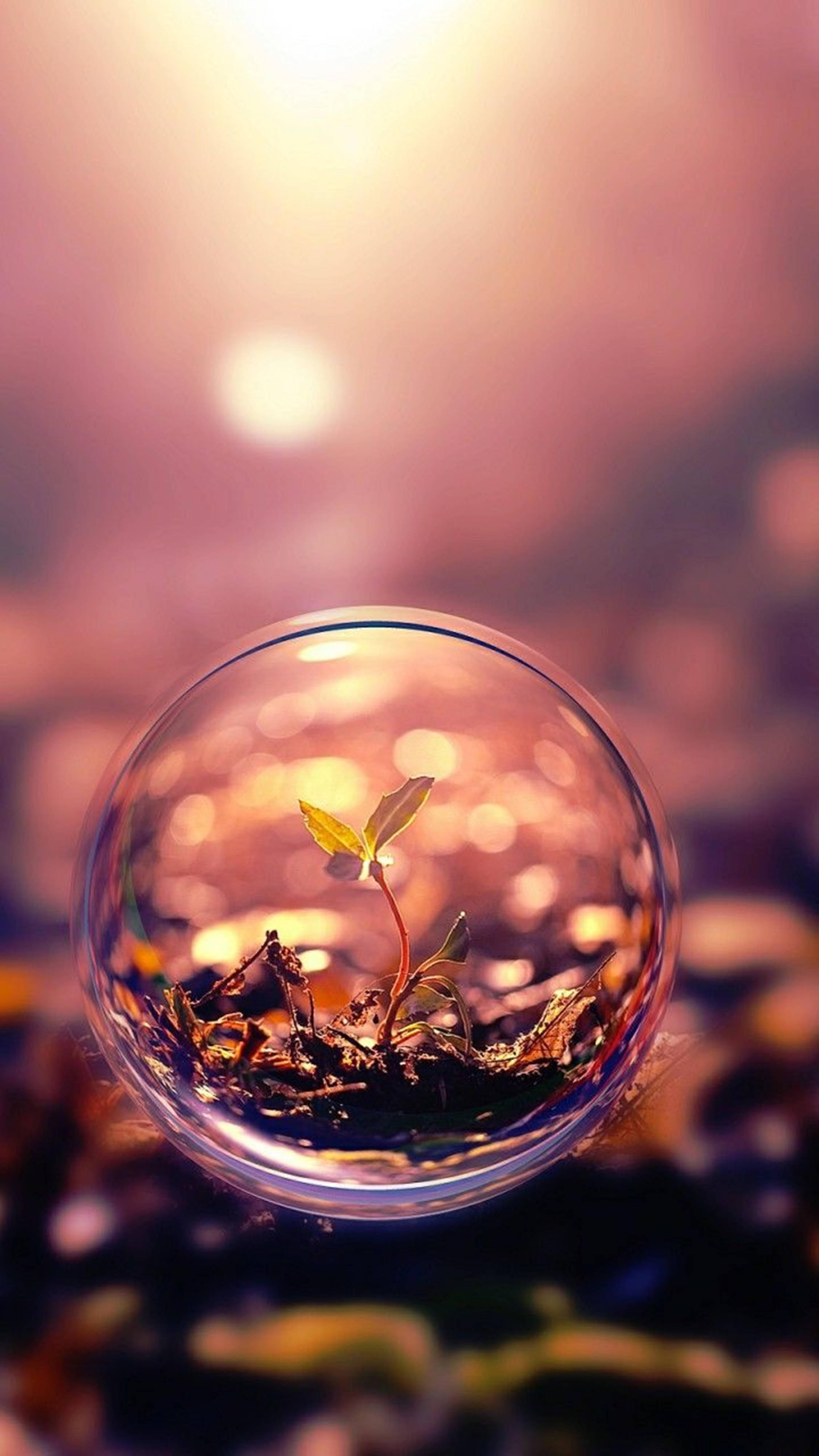 3D HD Plant Bubble — 2250x4000 wallpaper