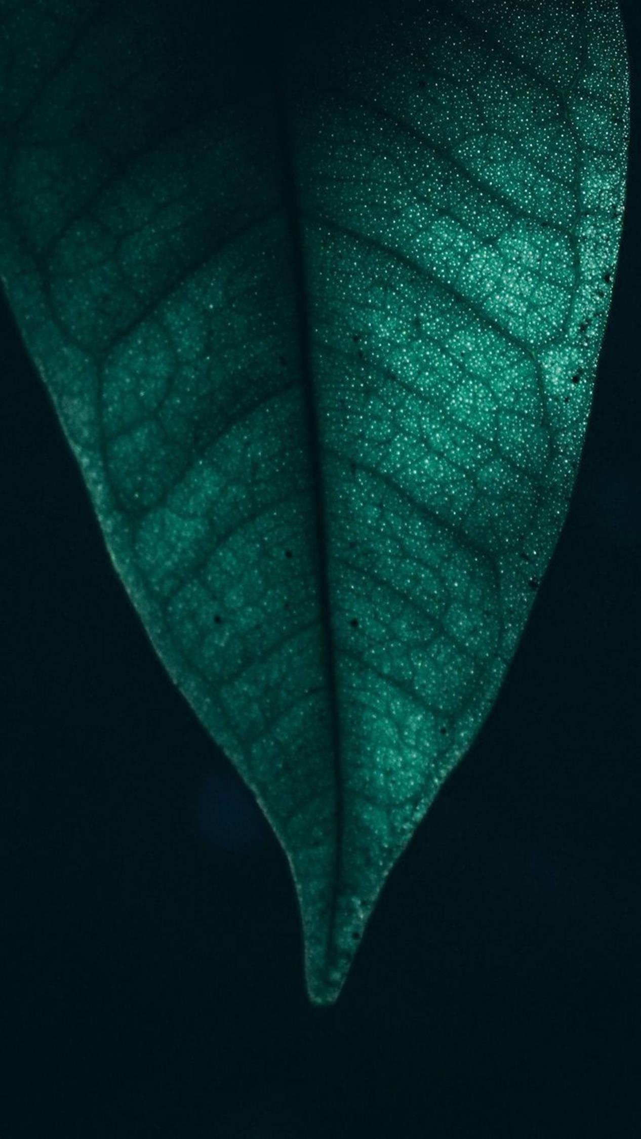 4K Android Micro Leaf — 1266x2250 wallpaper