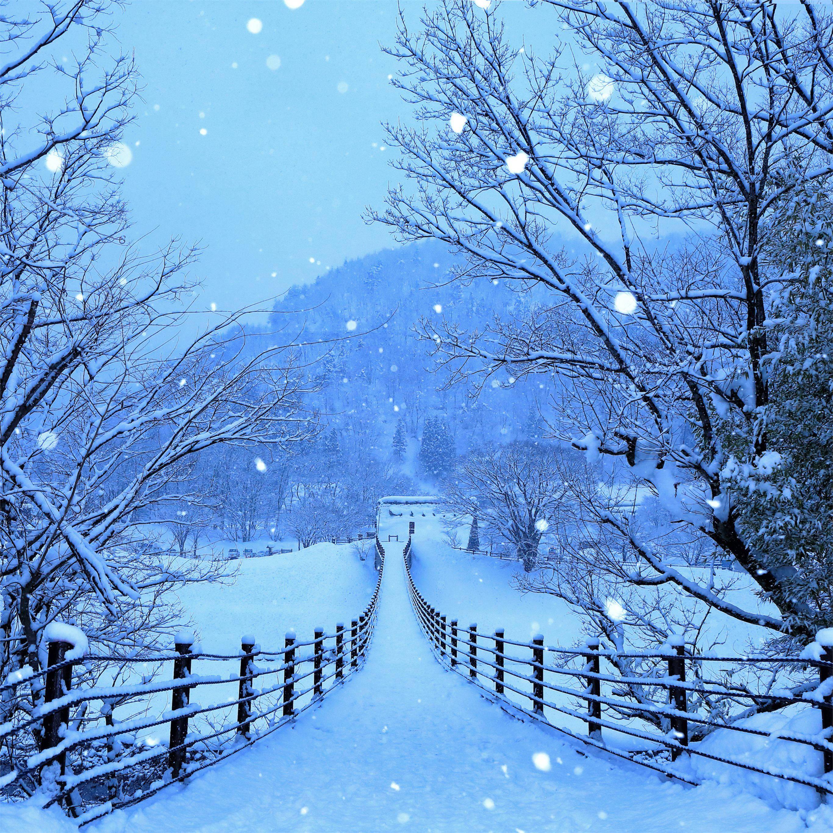 4k Ipad Snow Pathway — 2732x2732 wallpaper