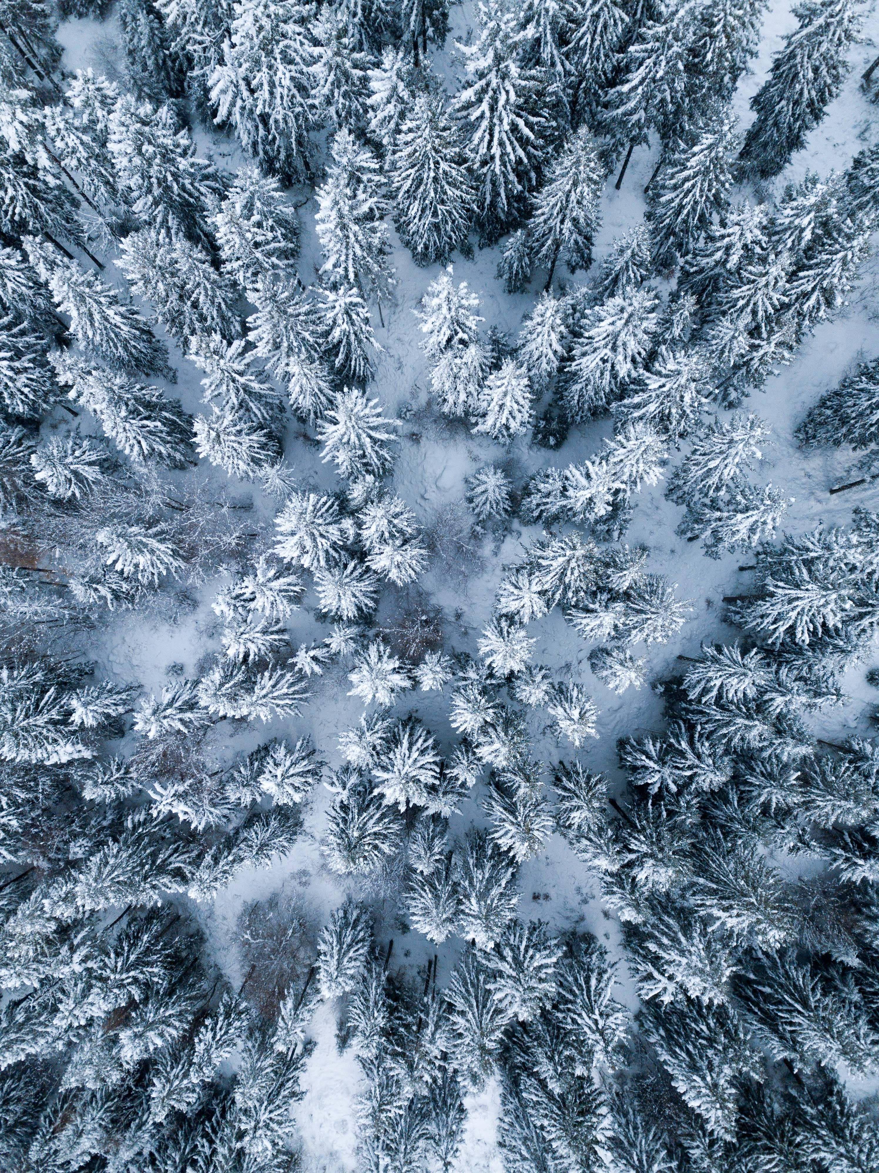4k Ipad Winter Season — 2992x3992 wallpaper