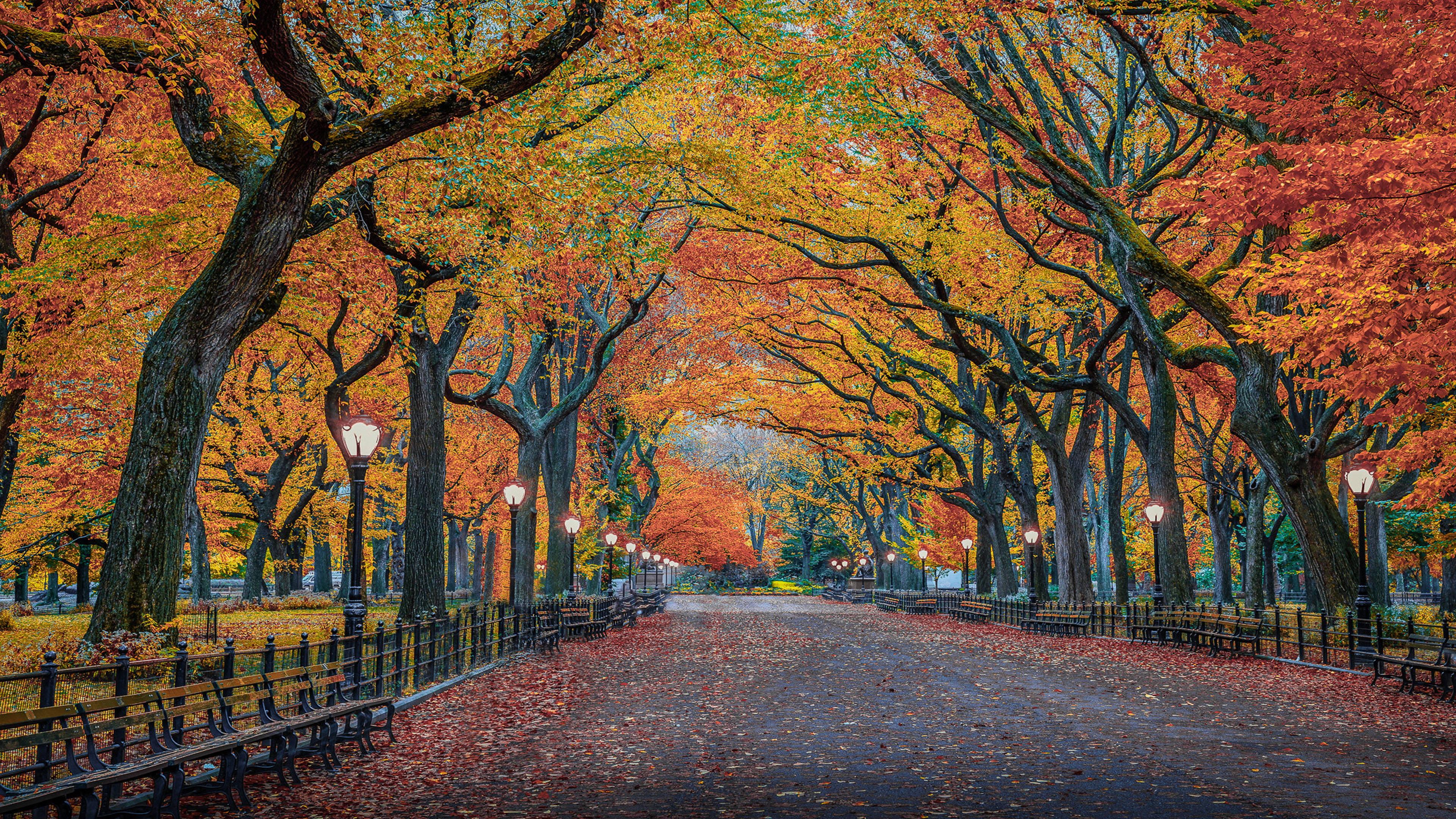 4K Laptop Autumn Central Park — 3840x2160 wallpaper