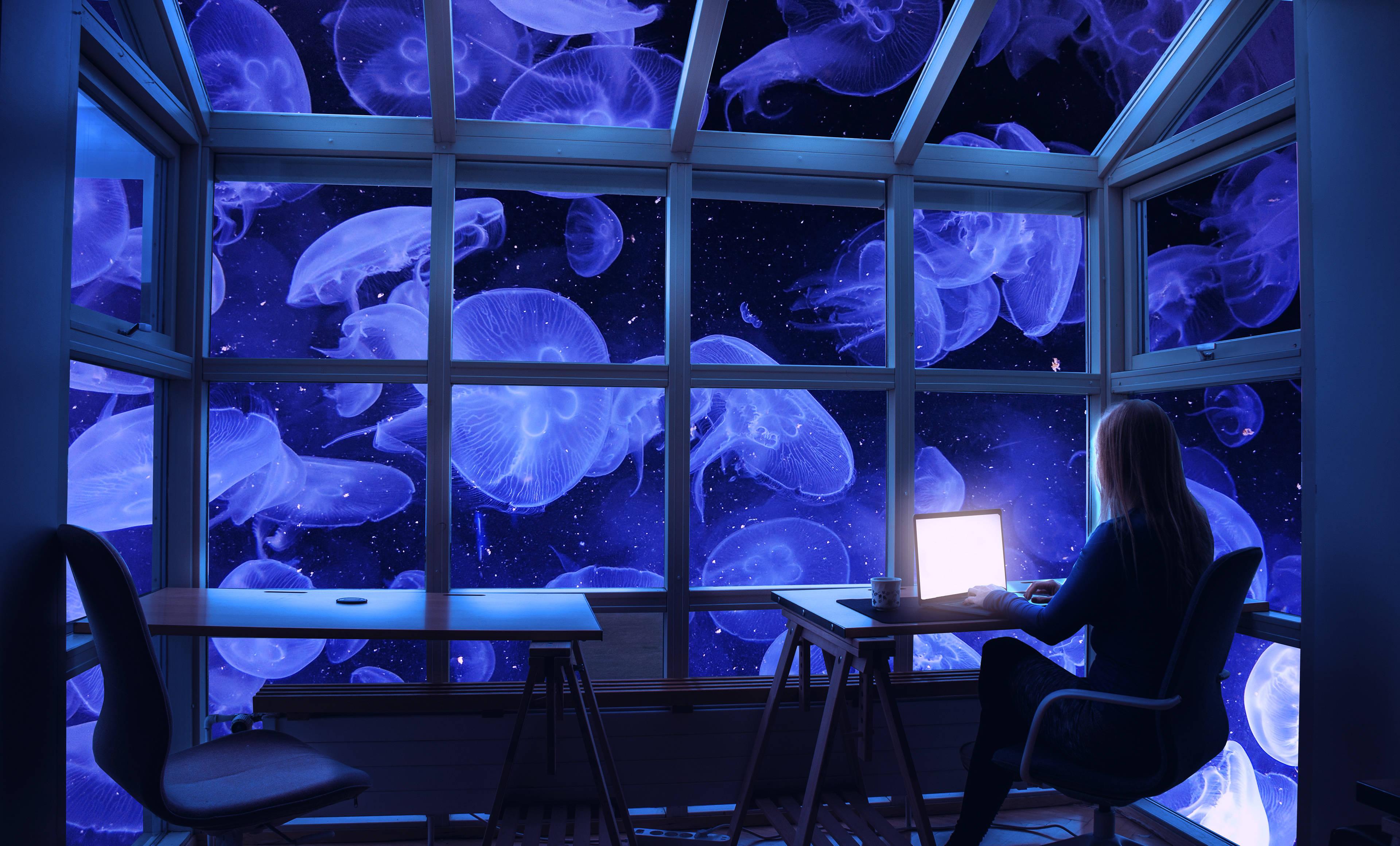 4K Laptop Jellyfish Window — 3840x2319 wallpaper