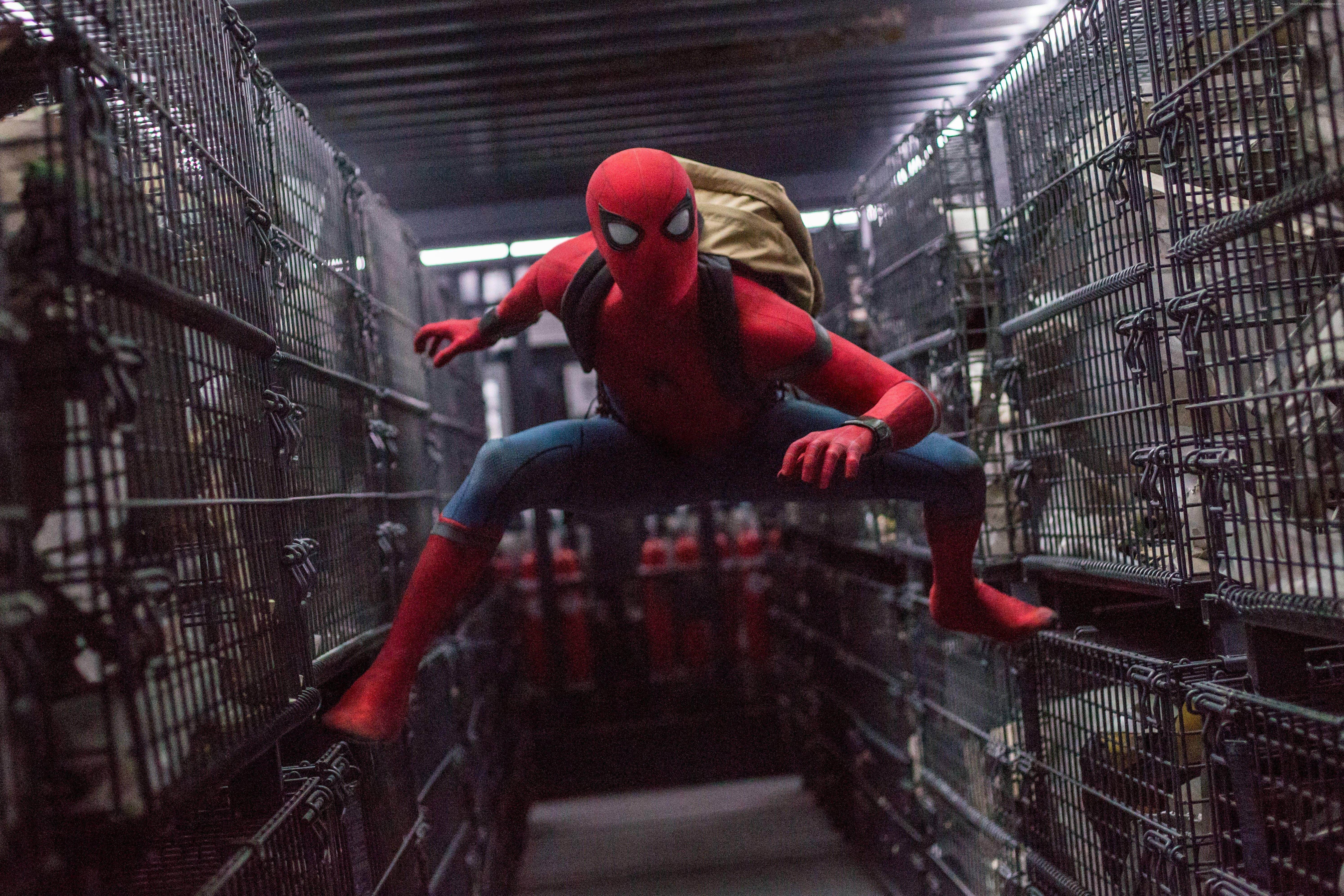 4K Marvel Spider Man — 5976x3984 wallpaper