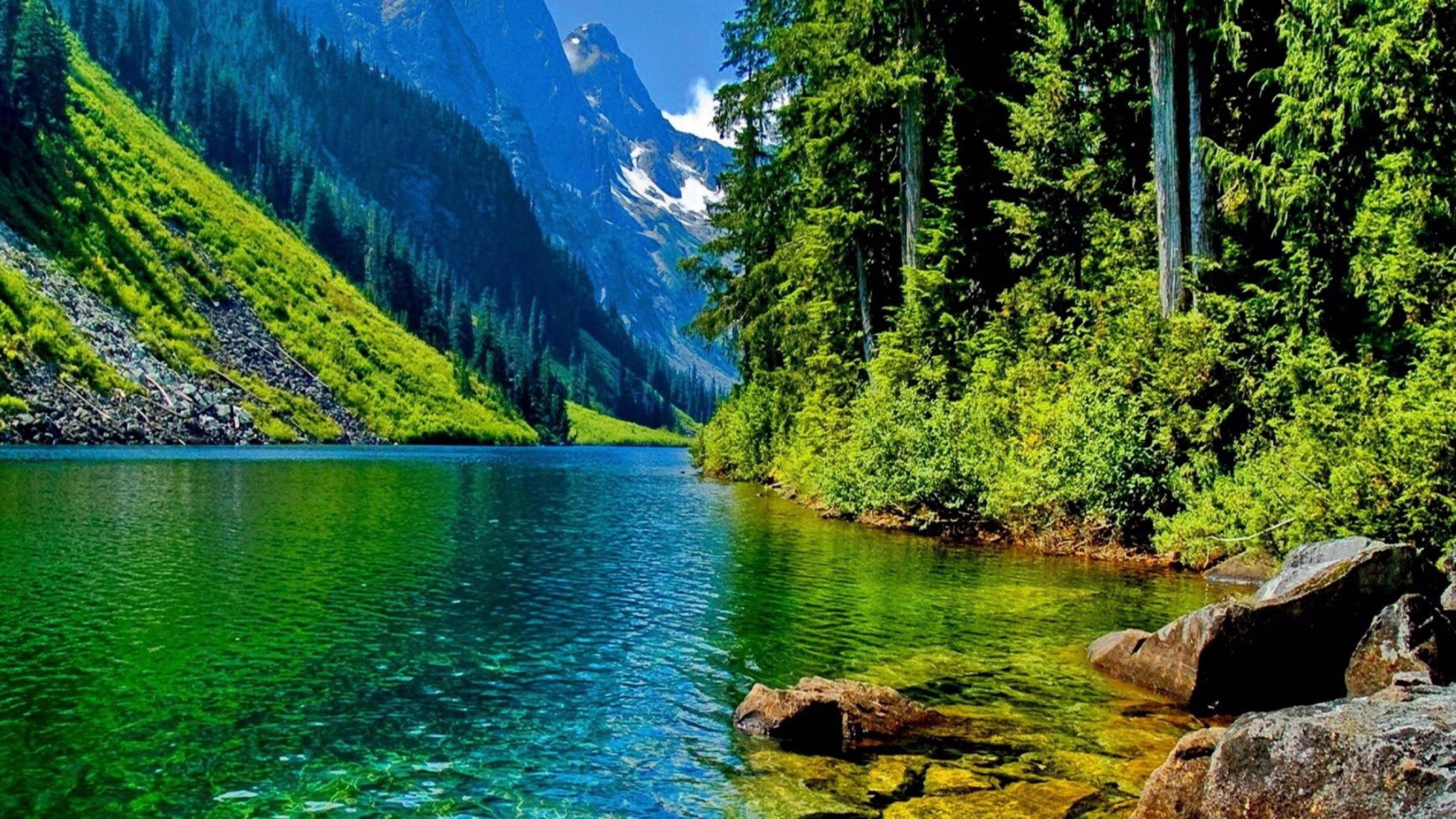 4k Nature Greenery — 3840x2160 wallpaper