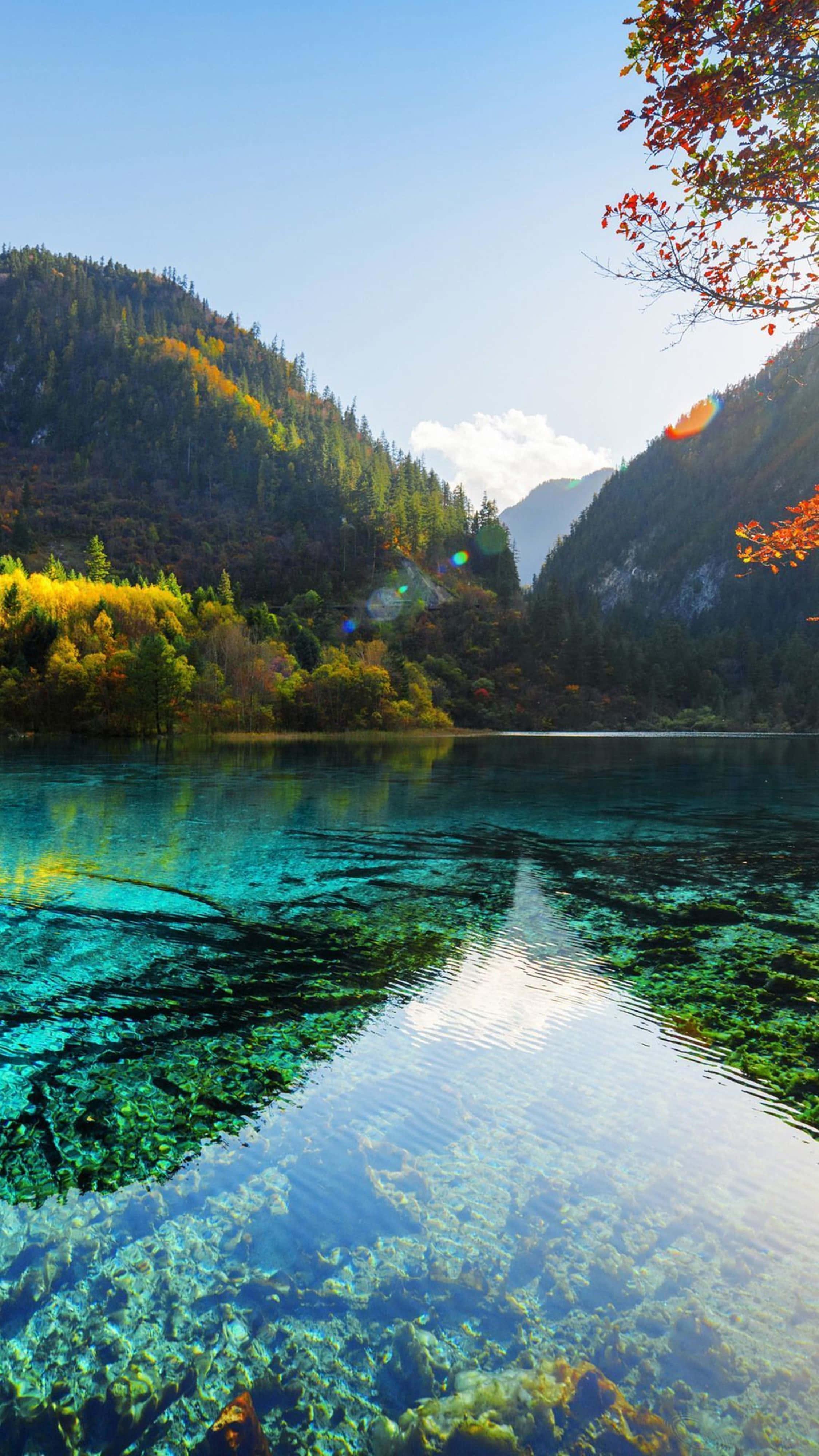 4k Nature Iphone Lake — 2250x4000 wallpaper
