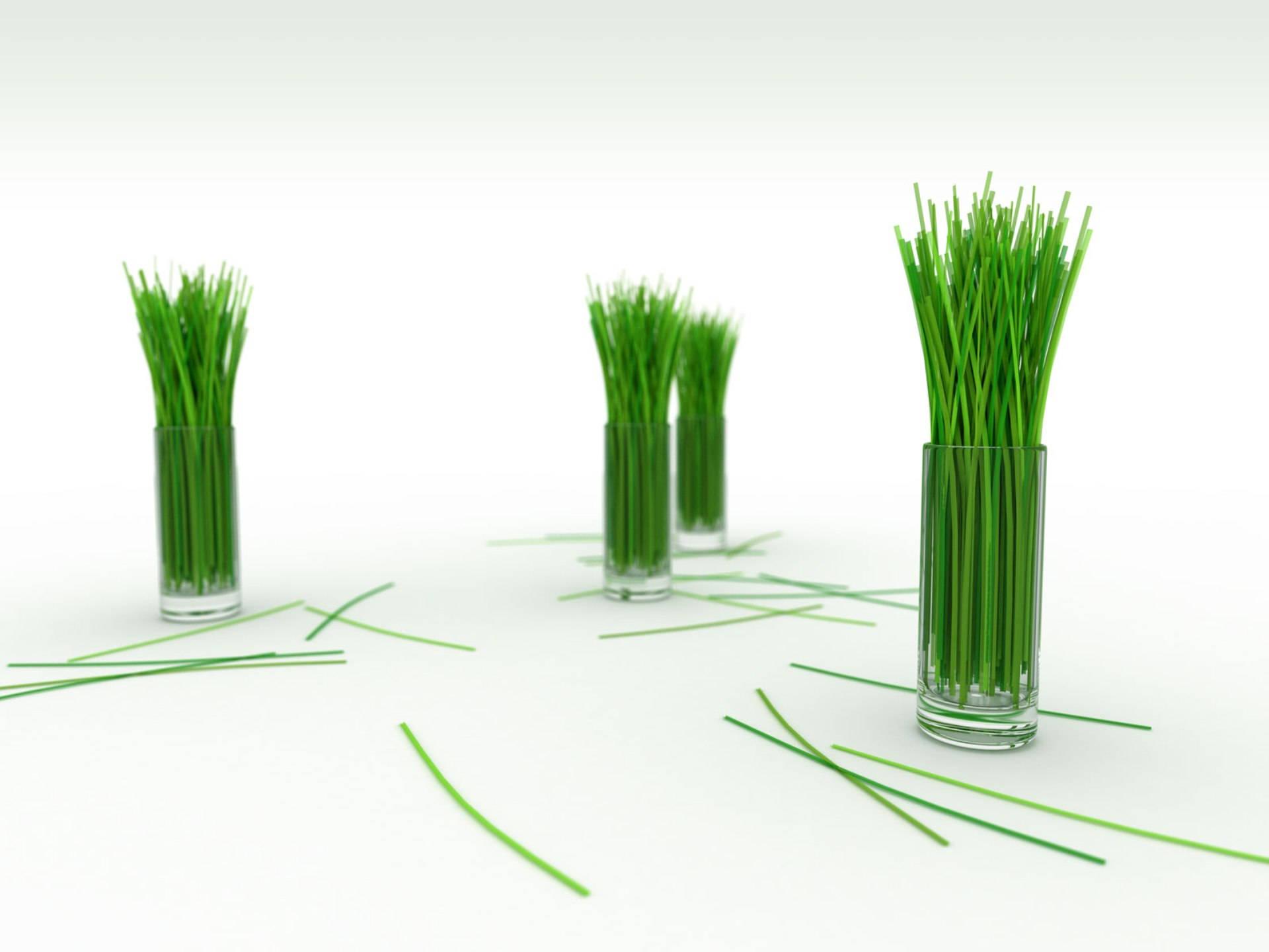 4k Nature Lemongrass — 1920x1440 wallpaper