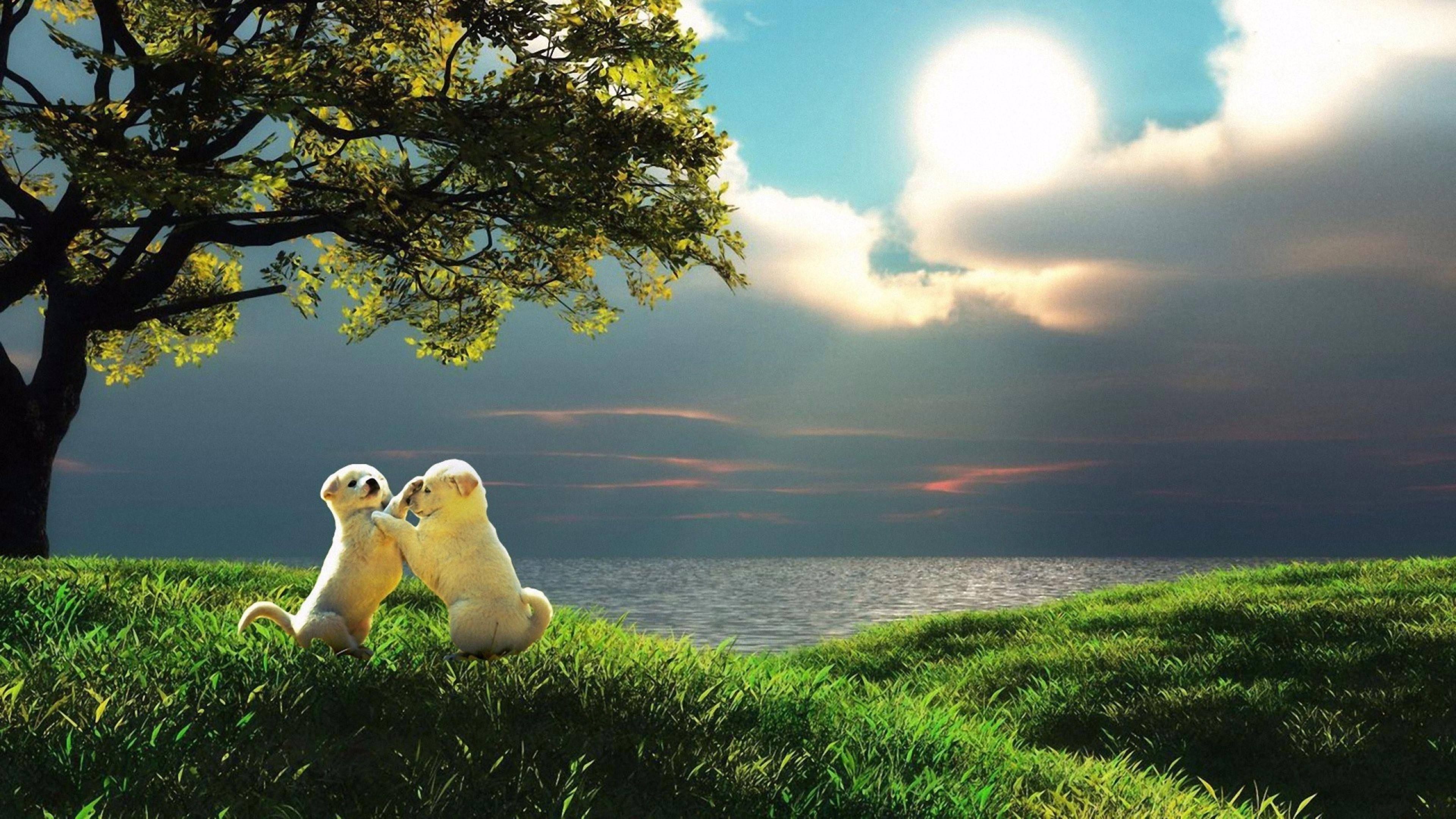 4k Nature Puppies — 3840x2160 wallpaper