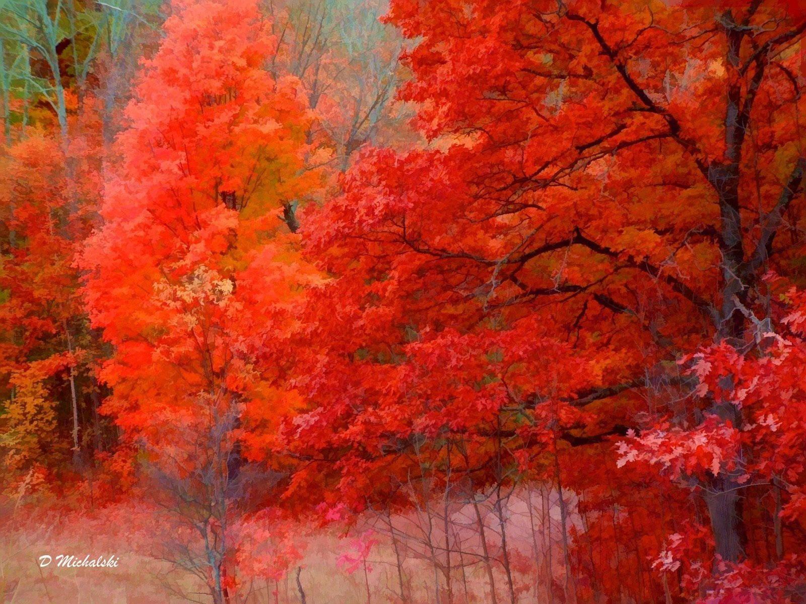 4k Nature Red Trees — 1600x1200 wallpaper
