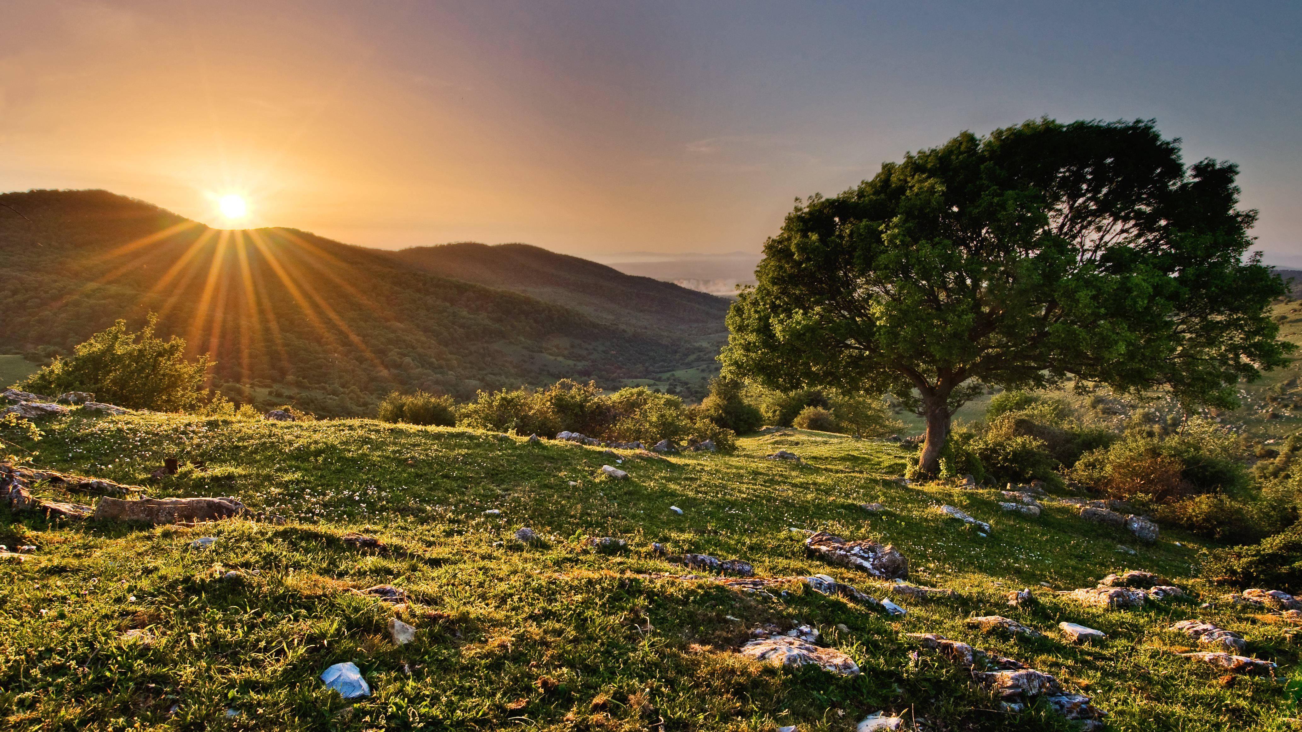 4k Nature Sunset On Hill — 4134x2325 wallpaper