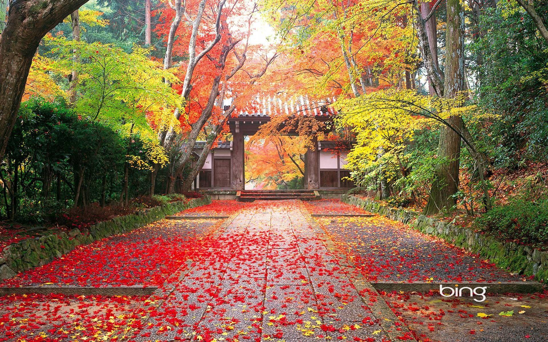 4k Nature Temple Entrance — 1920x1200 wallpaper