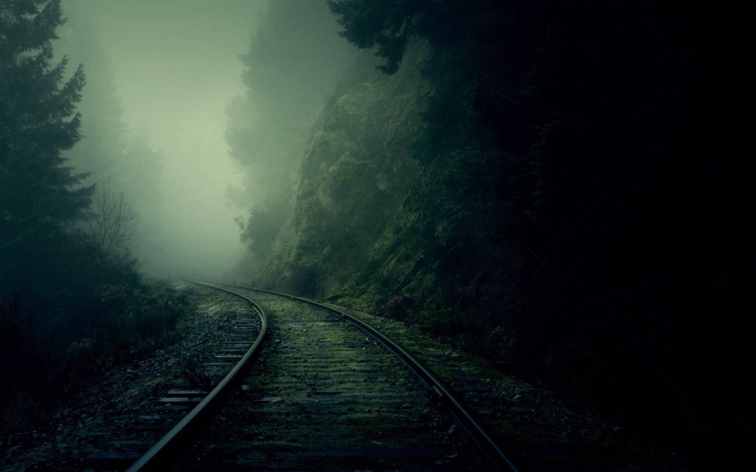 4k Nature Train Tracks — 2560x1600 wallpaper