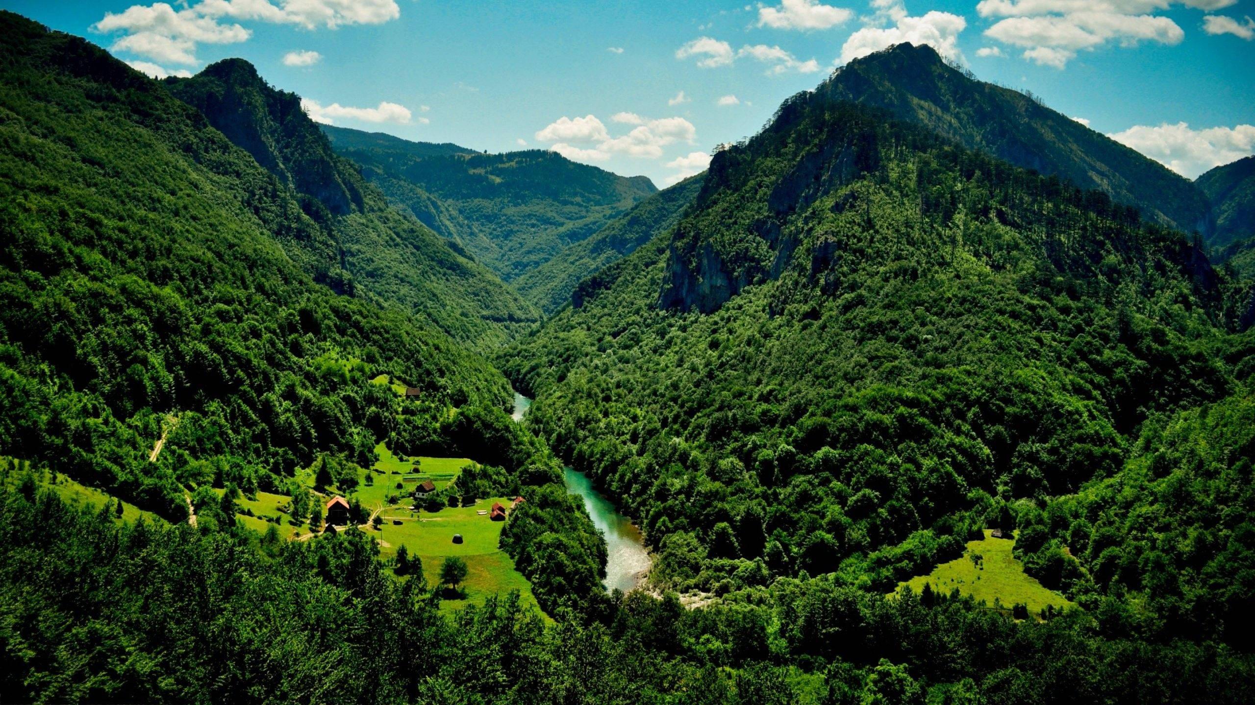 4k Nature Valley — 2560x1440 wallpaper