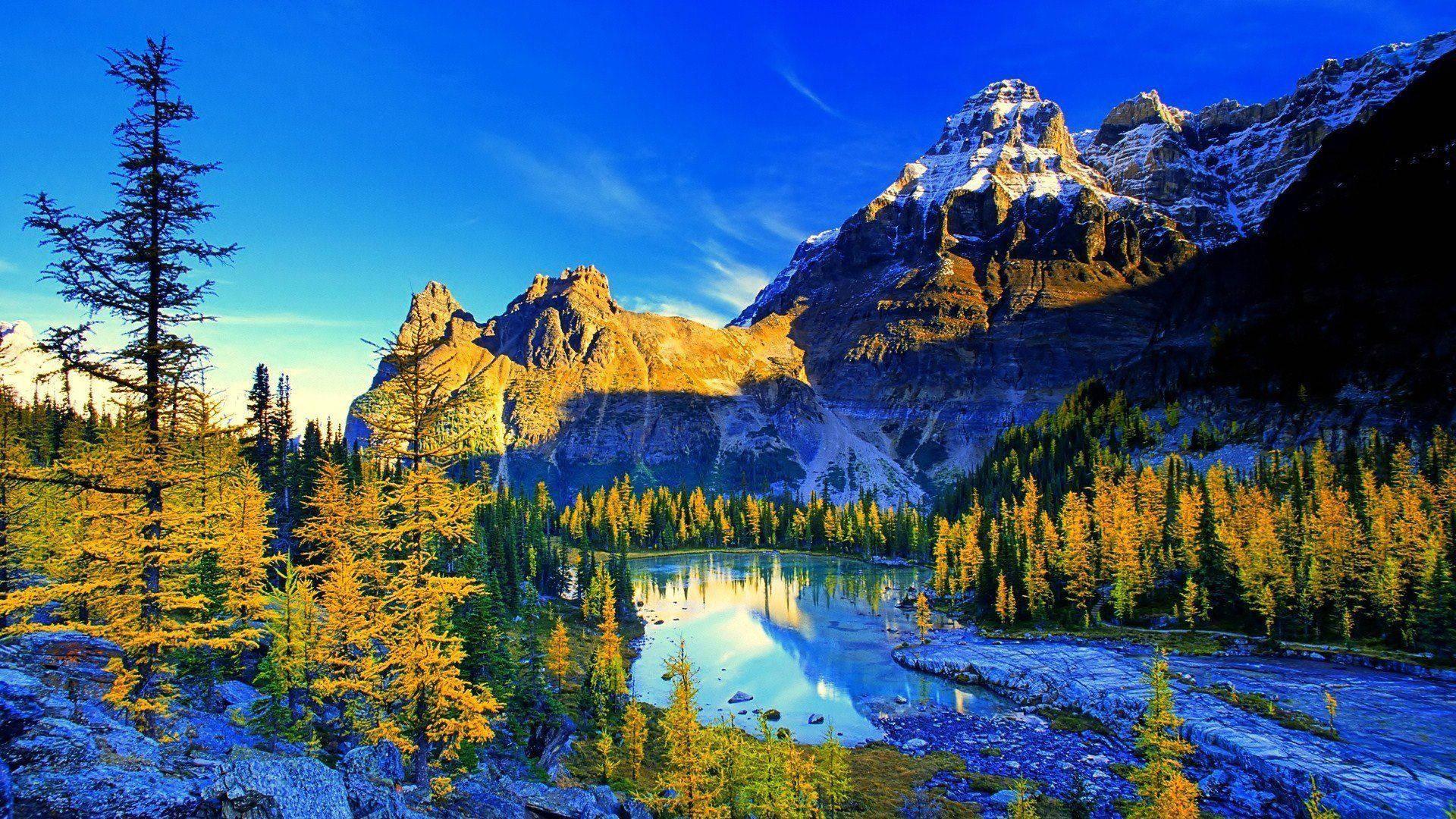 4k Nature Vivid Landscape — 1920x1080 wallpaper