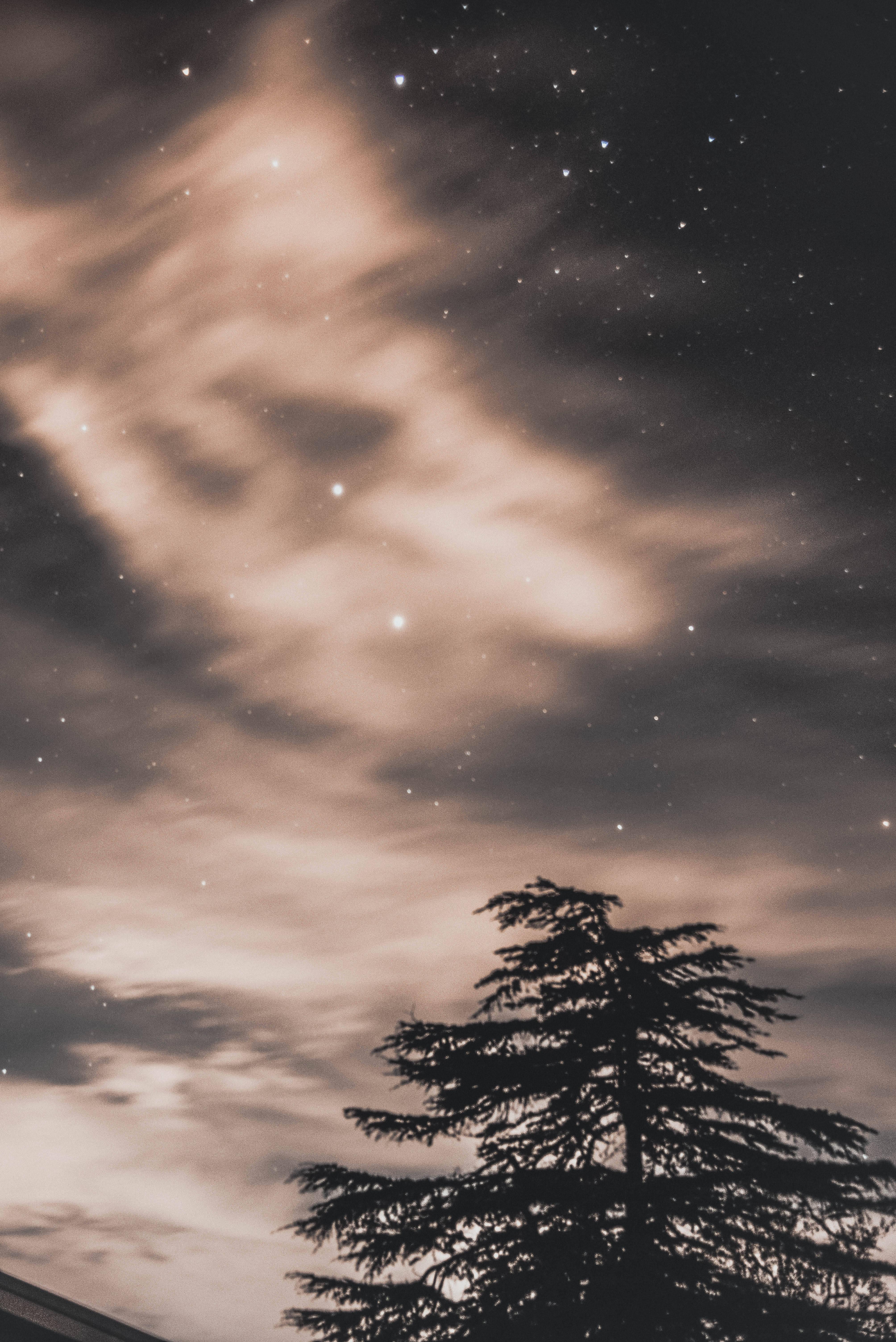 4k Space Above Tree Silhouette — 4016x6016 wallpaper