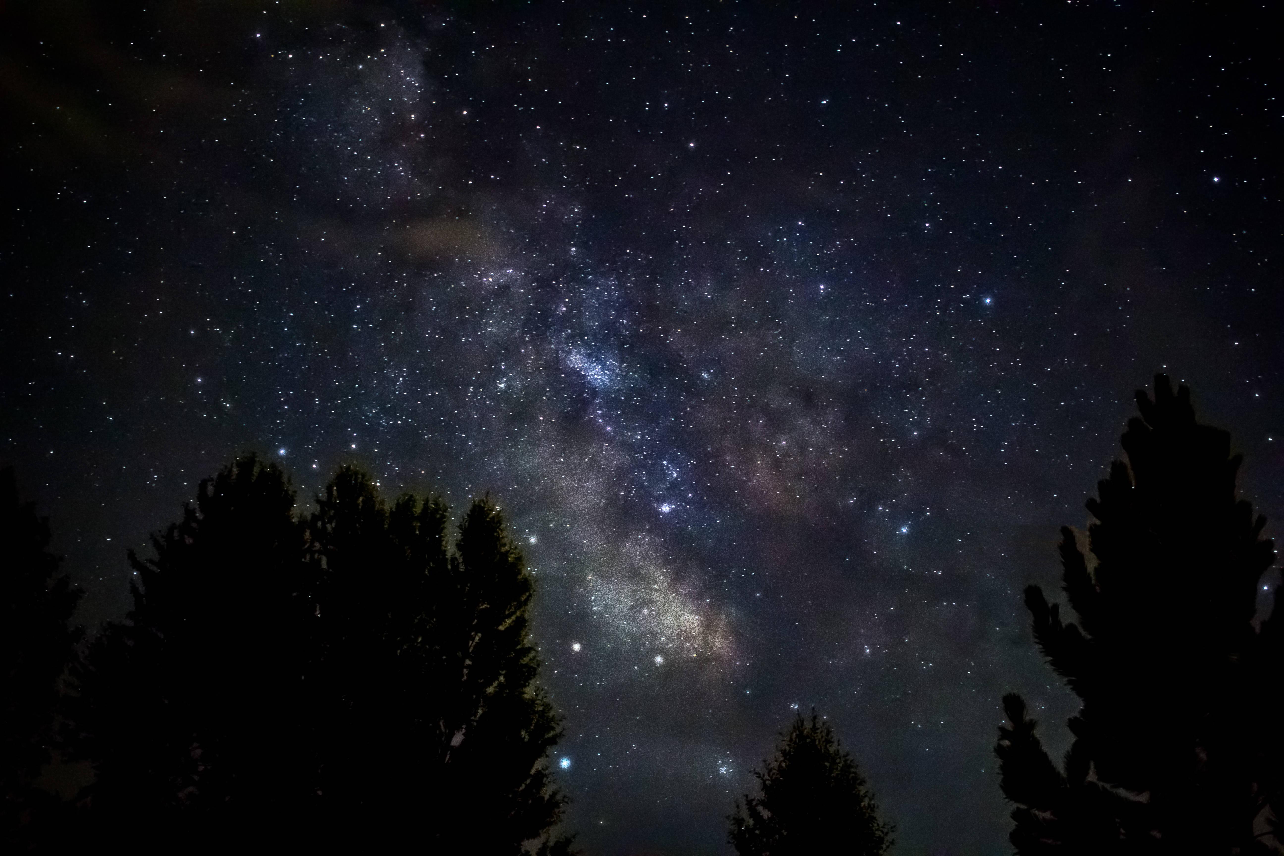 4k Space Evergreen Trees — 5184x3456 wallpaper
