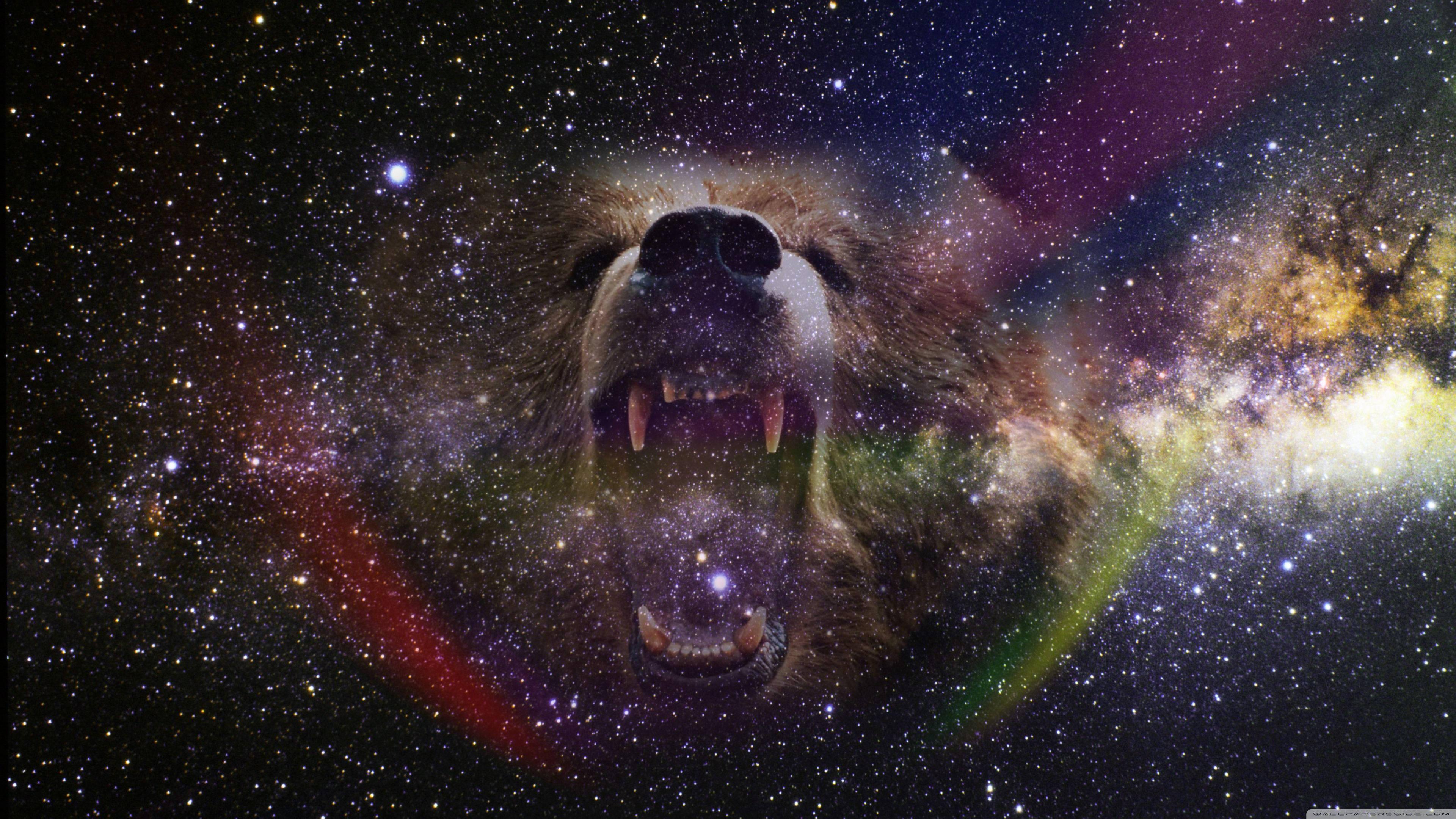 4k Space Growling Bear — 3840x2160 wallpaper