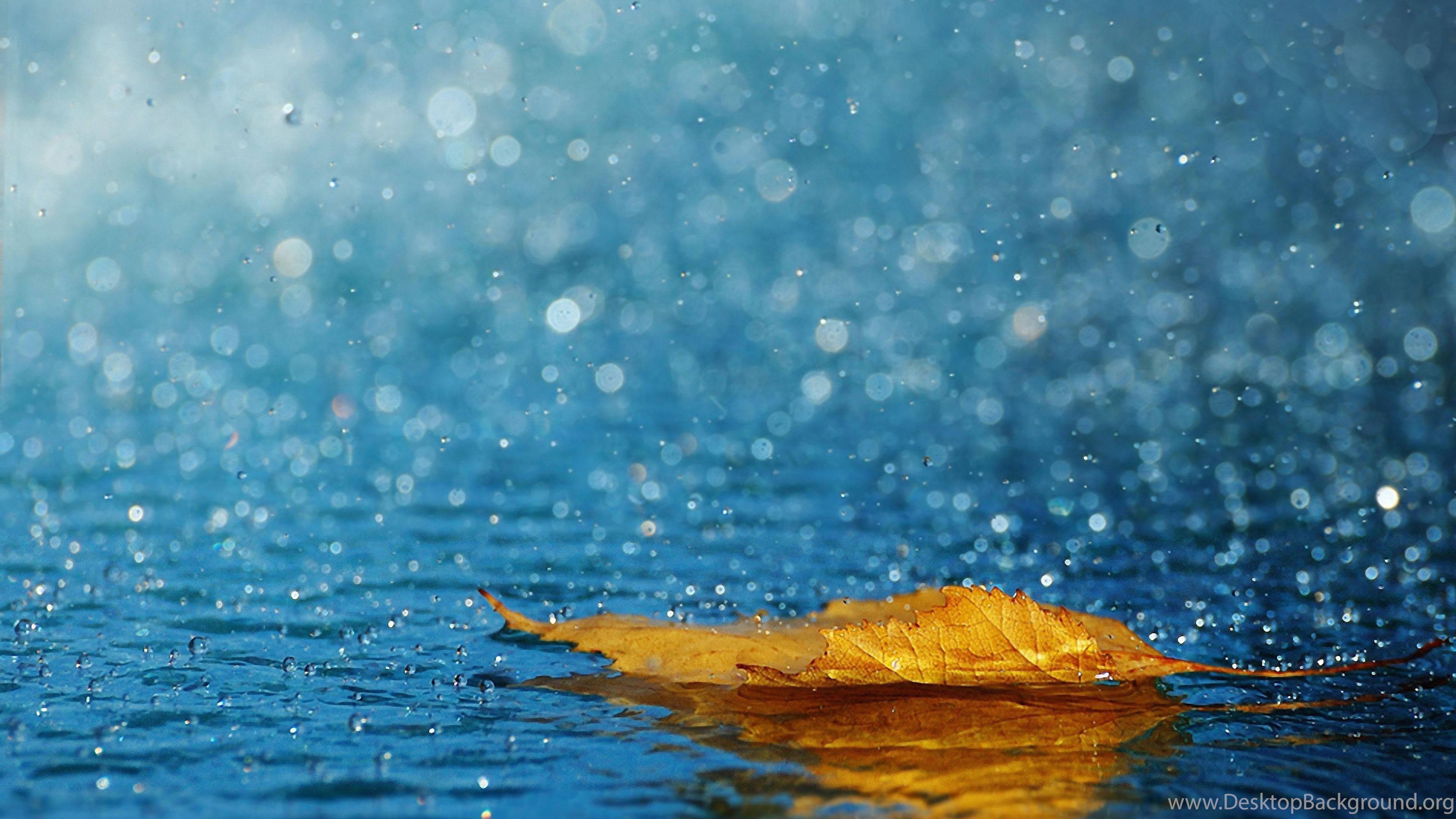 4k Ultra Hd Yellow Leaf — 3840x2160 wallpaper