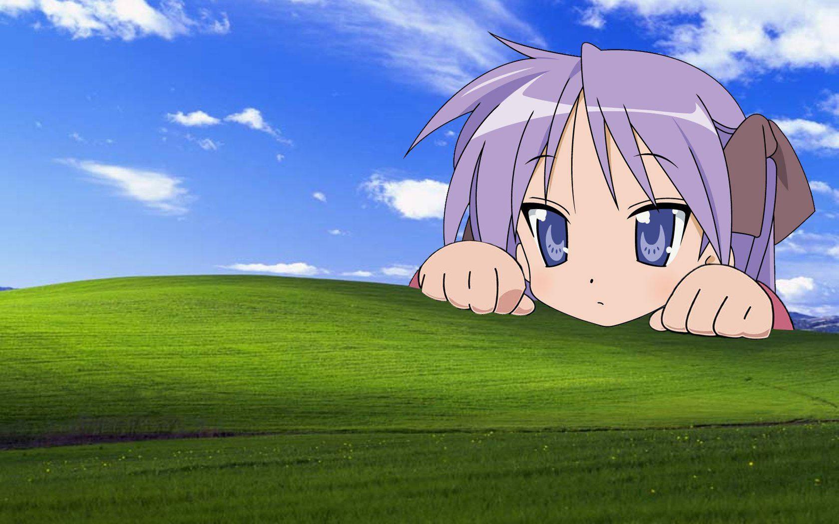 _ Blur Effects on Windows XP Background_ — 1680x1050 wallpaper