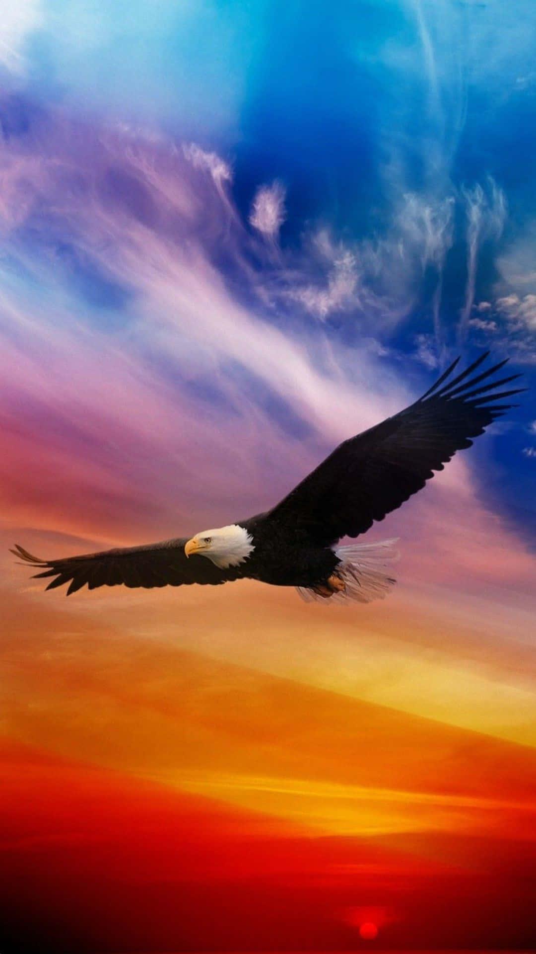 a bald eagle flying in the sky with colorful sunset — 1080x1920 wallpaper