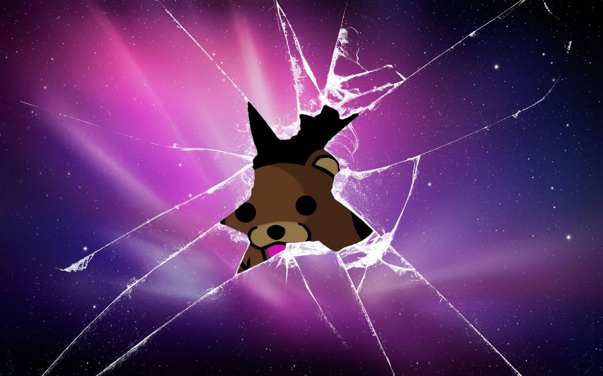 A Bear Glimpsed Through a Cracked Phone Screen — 2500x1562 wallpaper