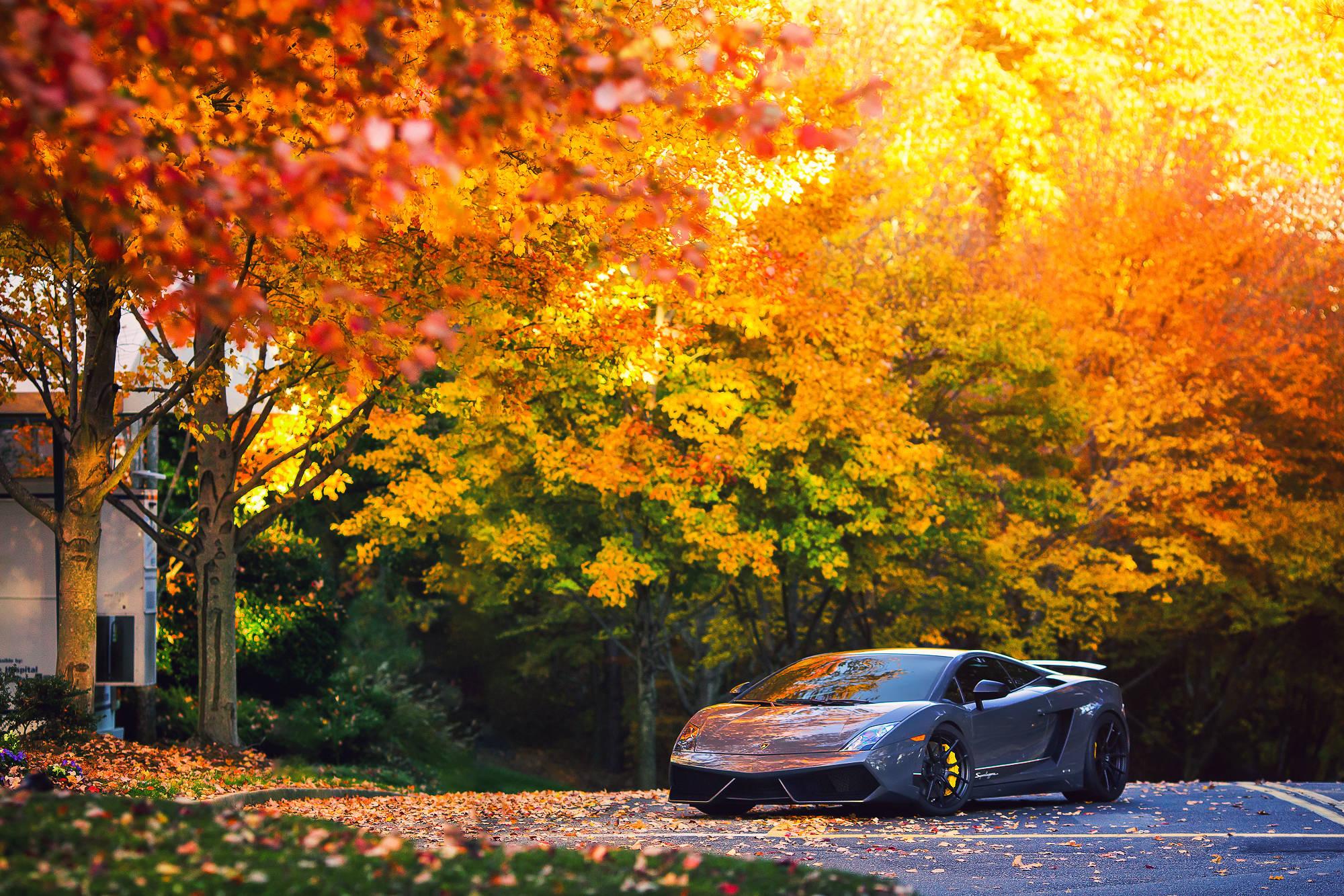 A beautiful Gray Lamborghini Gallardo making its way through the crispy autumn air. — 2000x1333 wallpaper