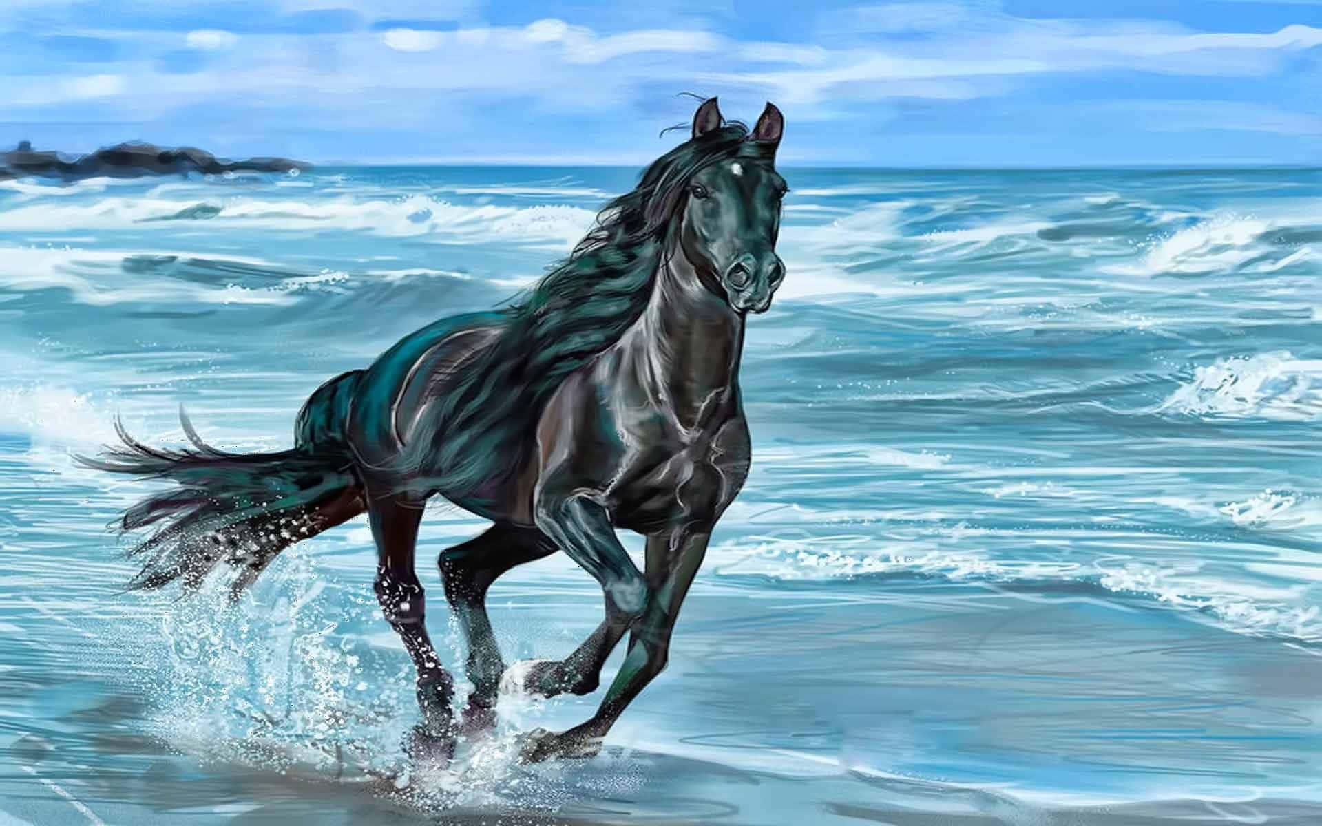 A beautiful white horse running through open fields. — 1920x1200 wallpaper