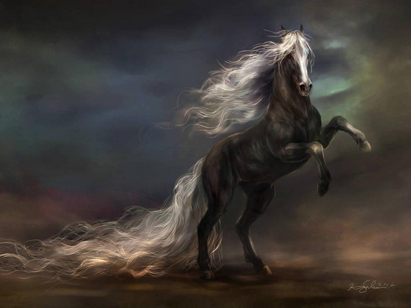 A Black Horse in Midair Stretching Out Its Neck and Mane — 1600x1200 wallpaper