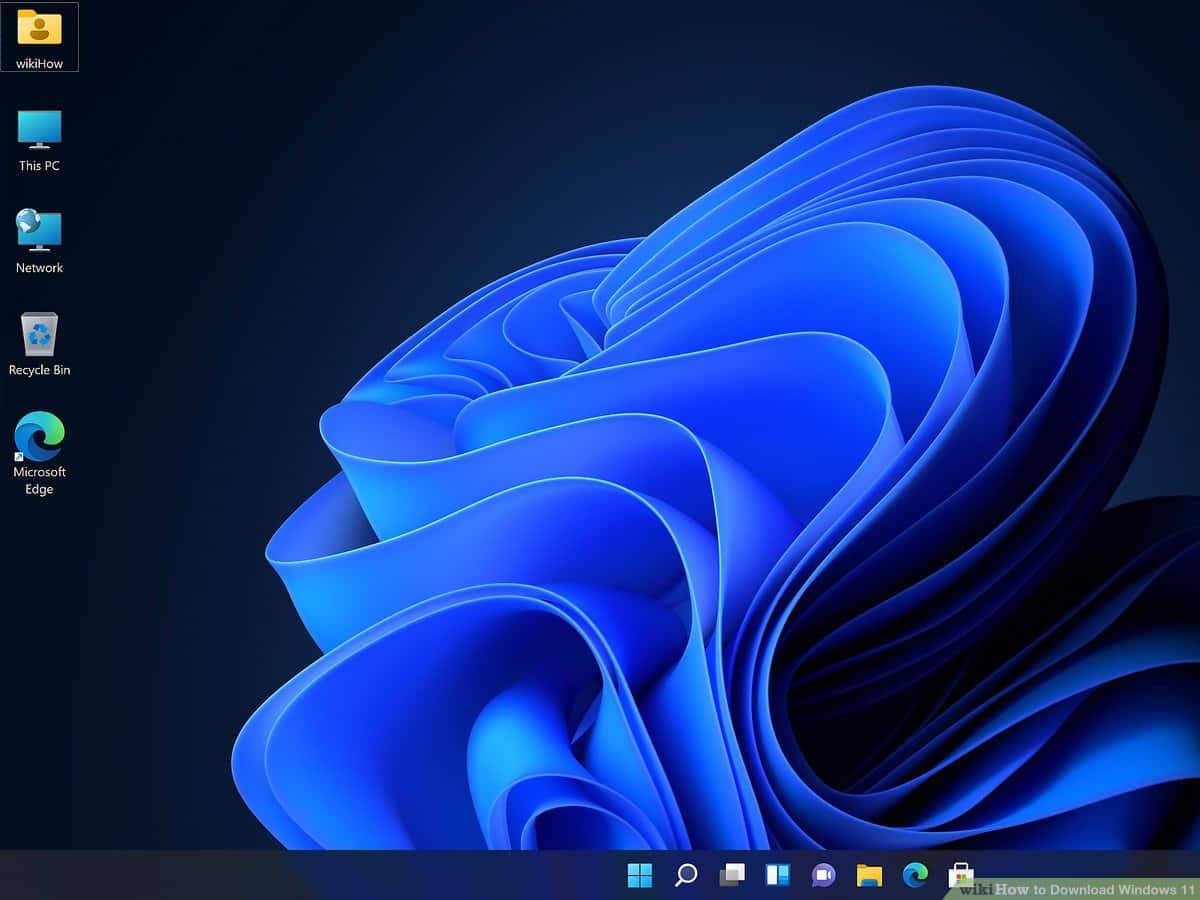 a blue screen with a blue flower — 1200x900 wallpaper