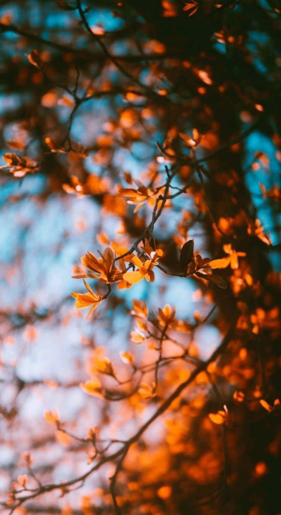 a blurry image of a tree with leaves — 1080x1980 wallpaper