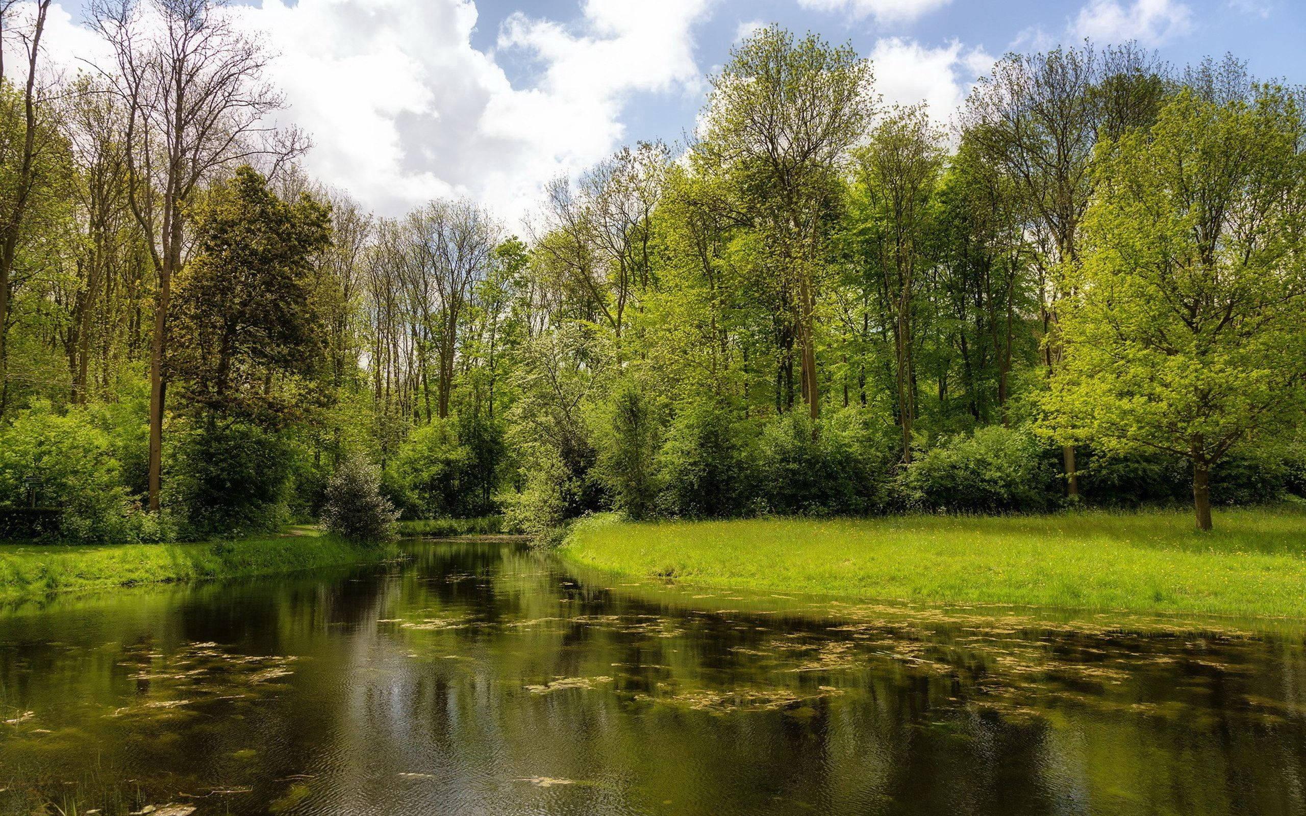 A carefree summer adventure in a beautiful new environment. — 2560x1600 wallpaper