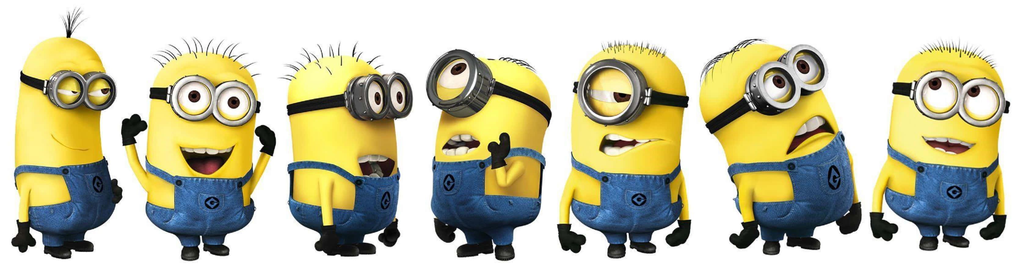 A Closer Look at the Fun-Loving Minions — 3337x900 wallpaper