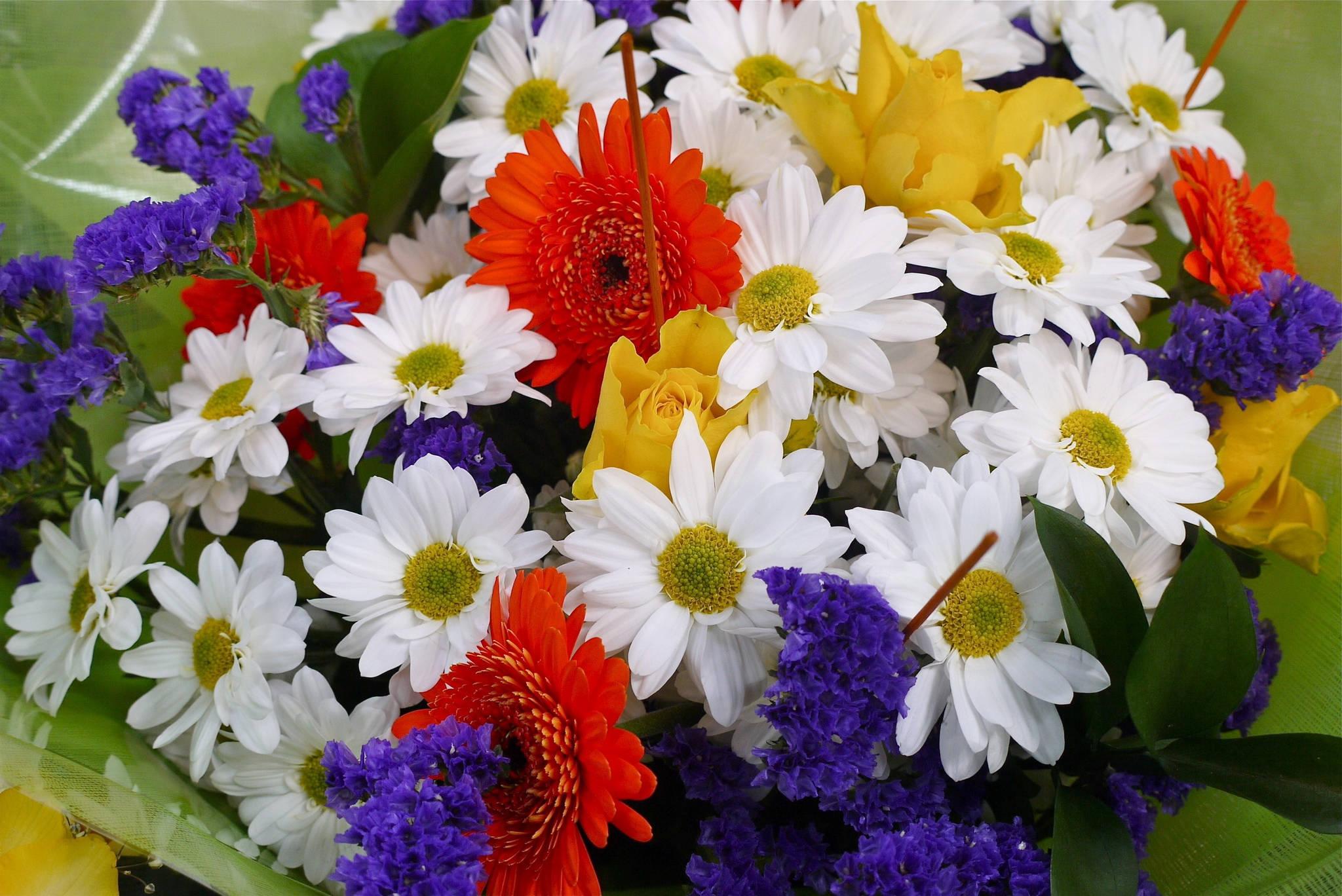 A colourful bouquet of tropical flowers — 2048x1368 wallpaper