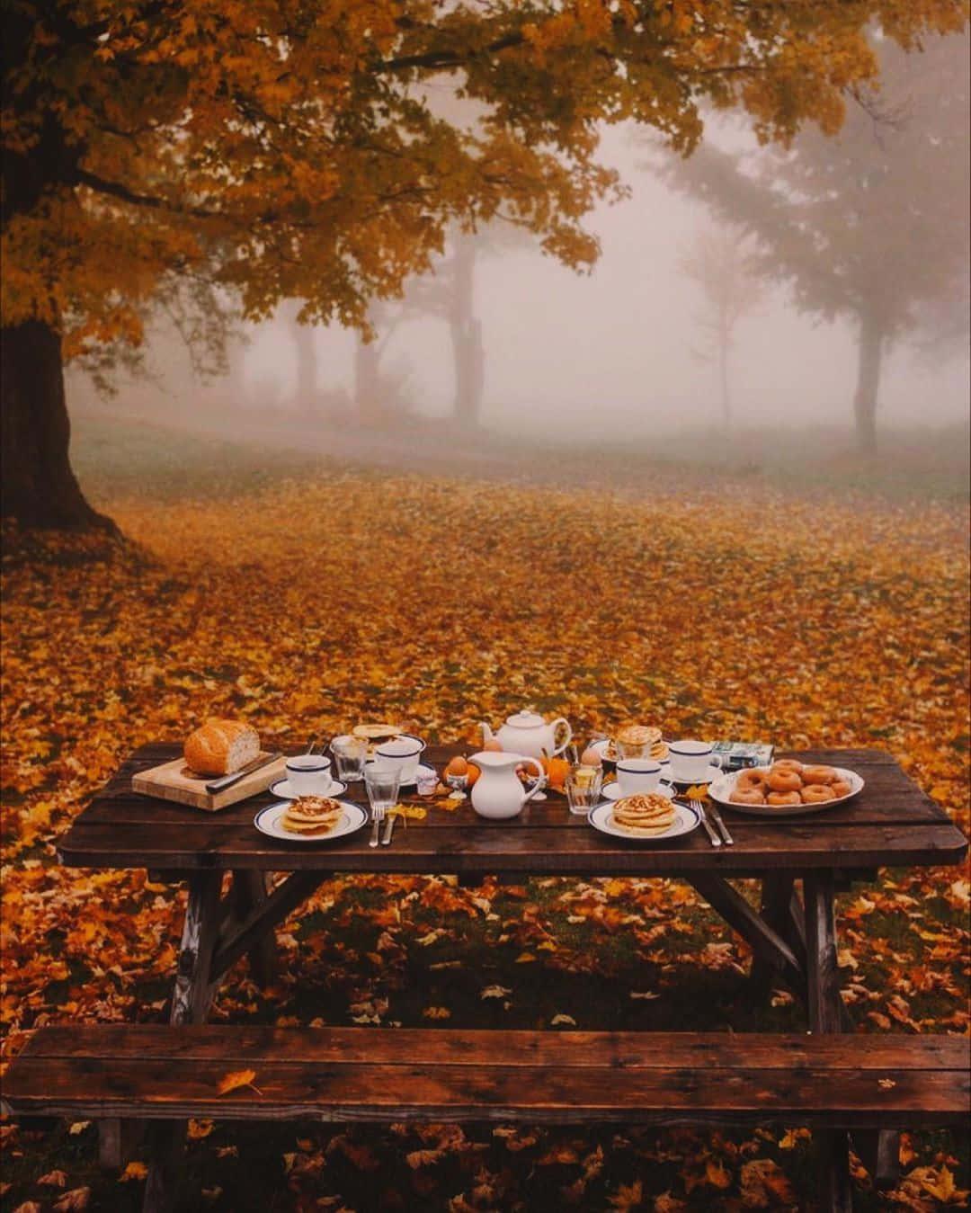A cozy Fall day spent in the countryside — 1080x1349 wallpaper