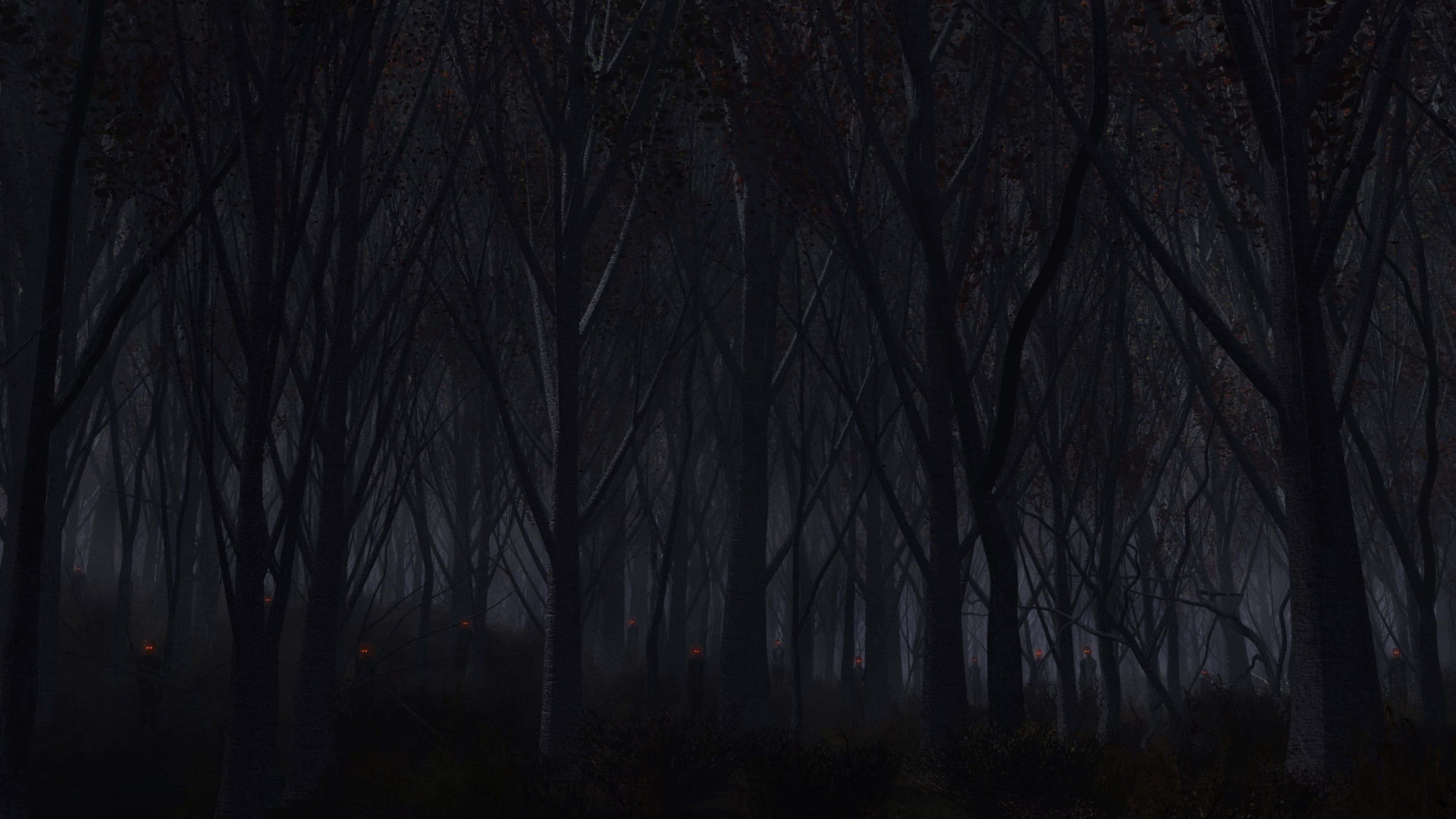 a dark forest with trees and a fire — 3840x2160 wallpaper