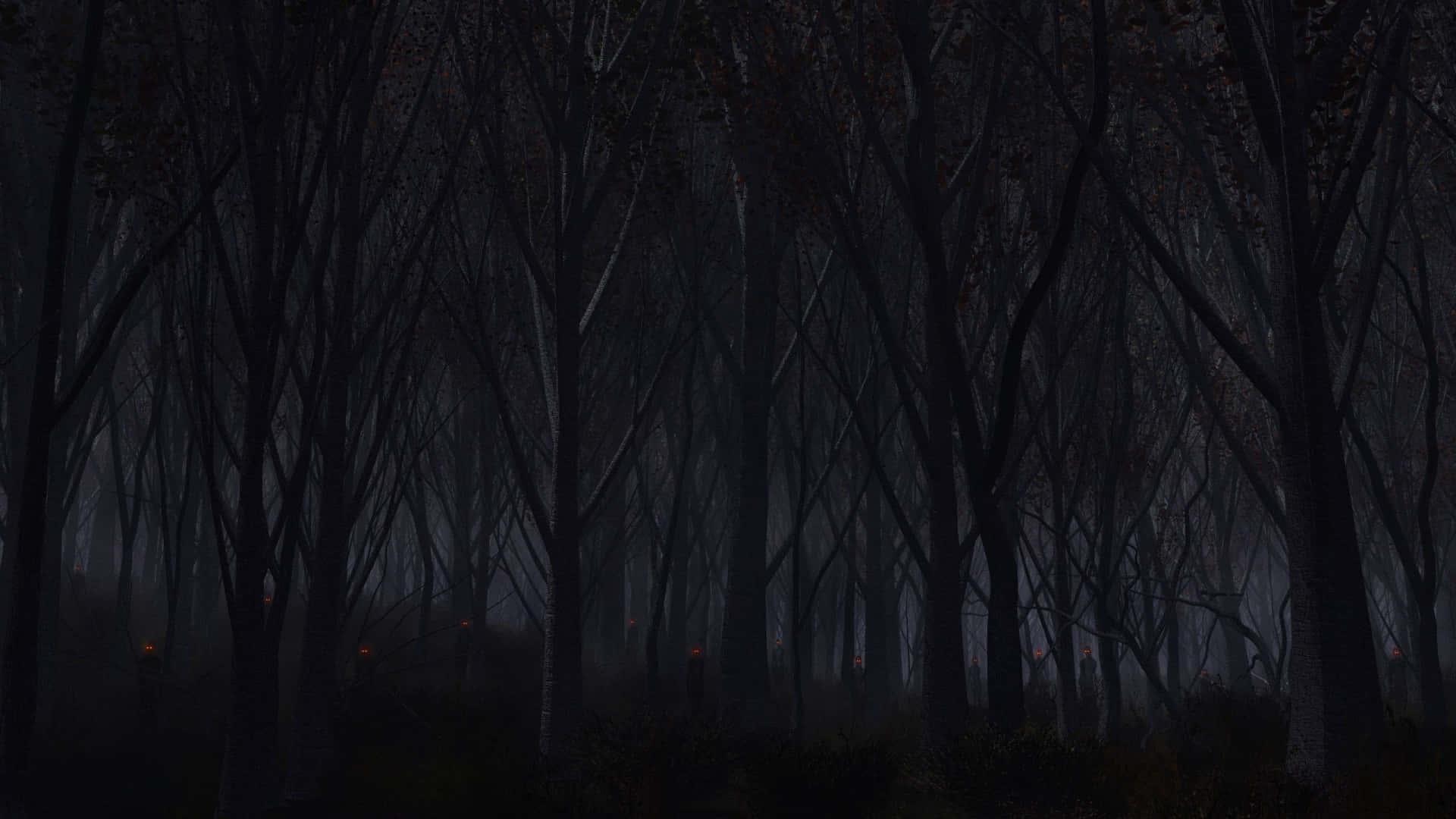 a dark forest with trees and a lamp — 1920x1080 wallpaper