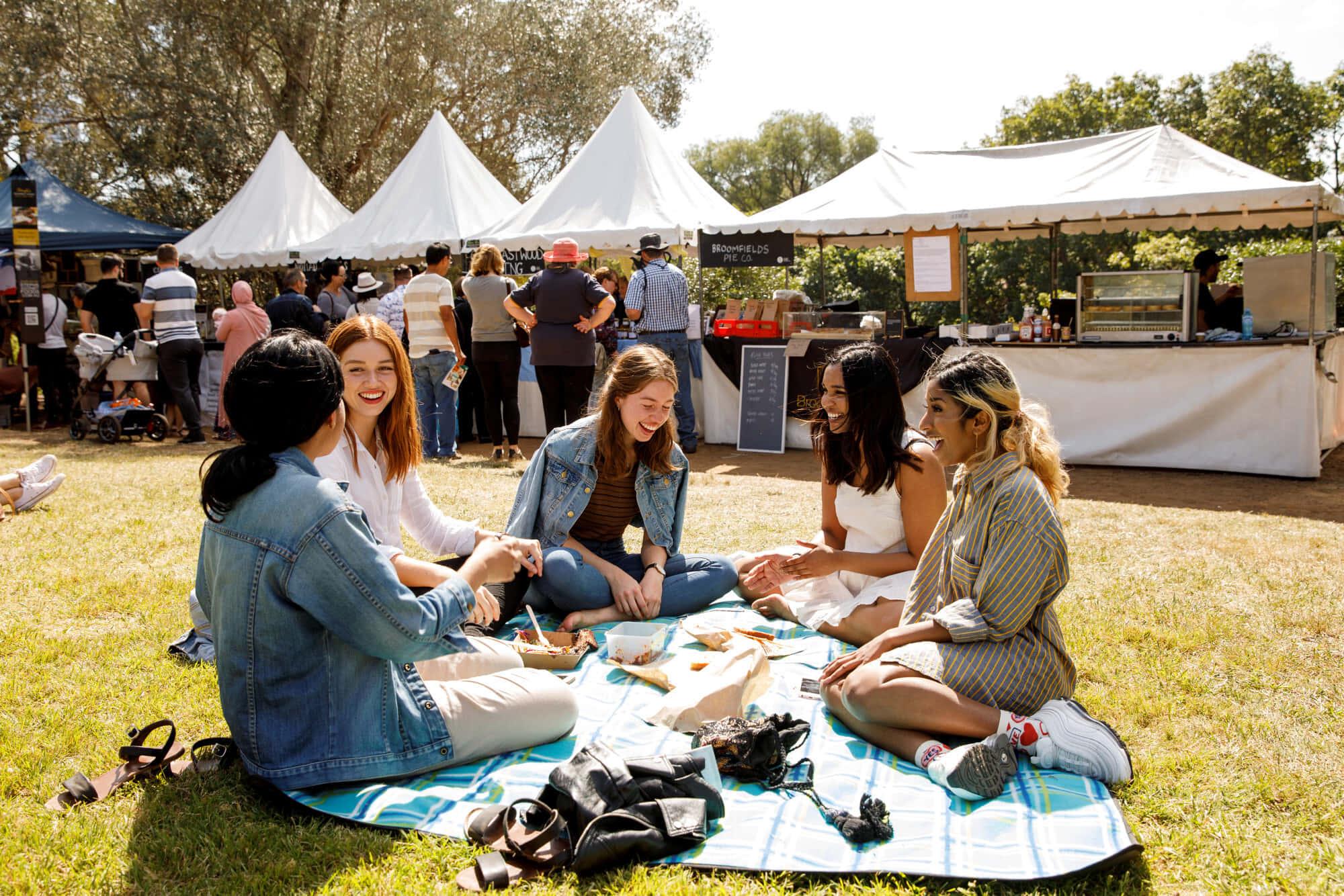 A field of vibrant yellow daffodils momentarily distracts from the clear, blue spring sky. — 2000x1334 wallpaper