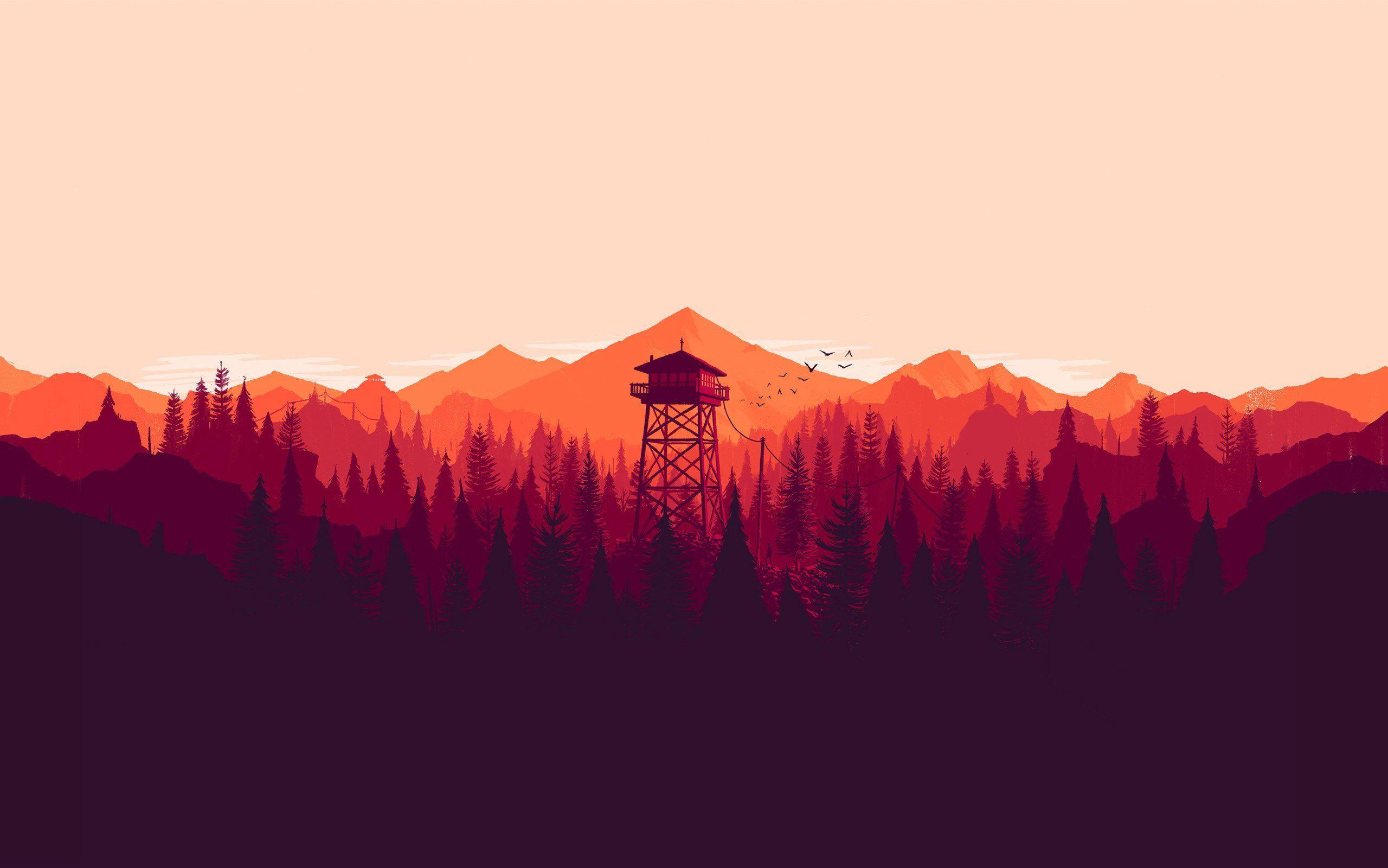 A Forest of Myriad Trees, Mingling Together — 2560x1600 wallpaper