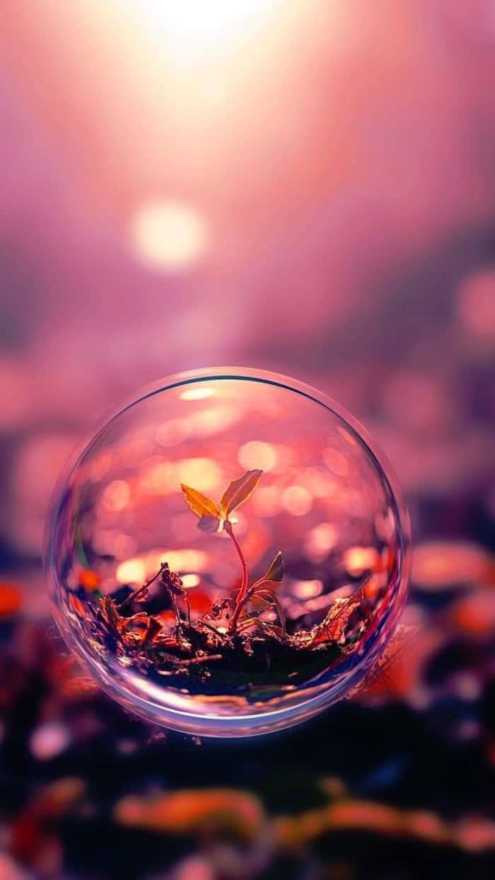 a glass ball with a plant inside — 700x1244 wallpaper