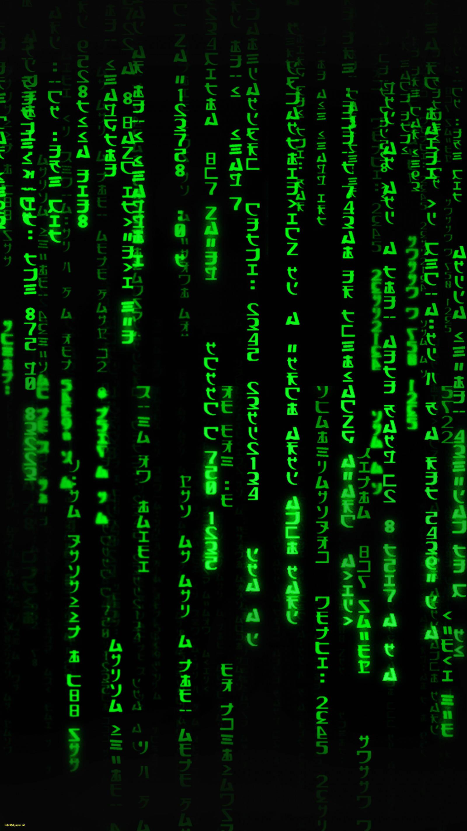 A glimpse of the mysterious world of Japanese hacking — 1600x2844 wallpaper