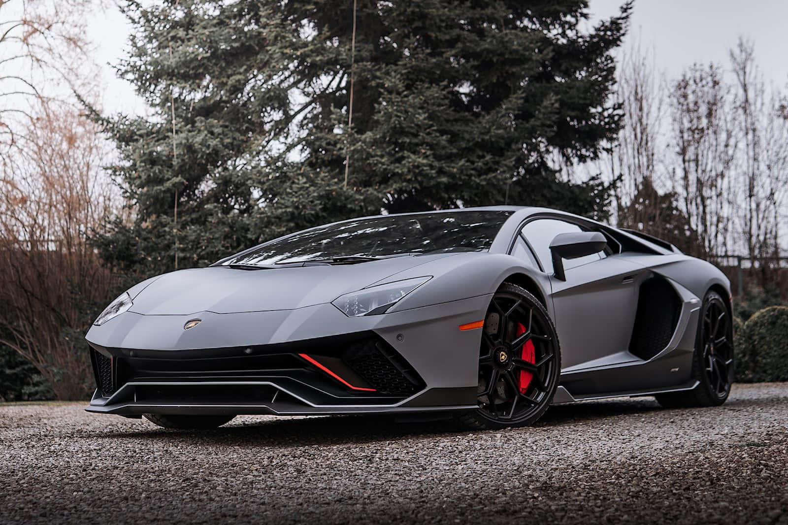 a gray lamborghini parked in front of a tree — 1600x1066 wallpaper