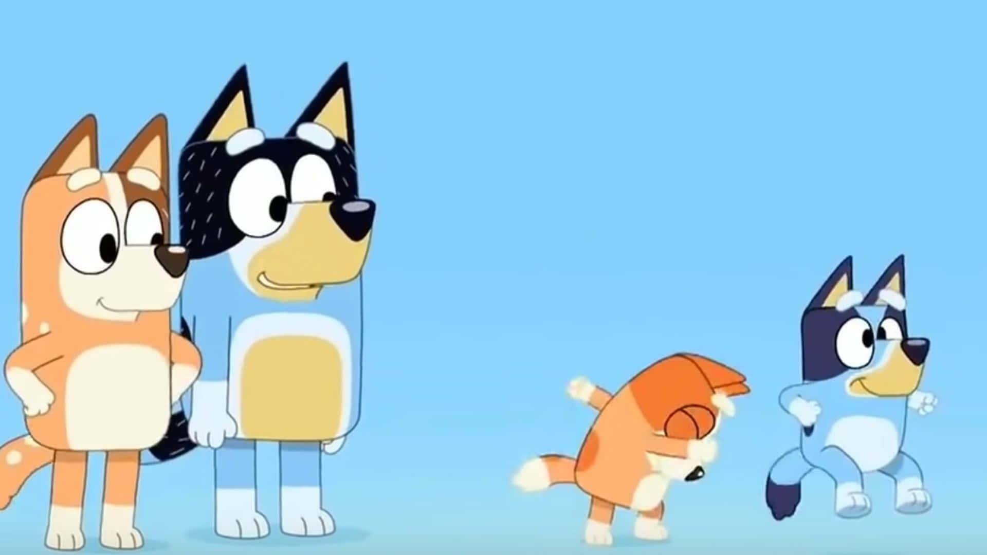 a group of cartoon animals standing next to each other — 1920x1080 wallpaper