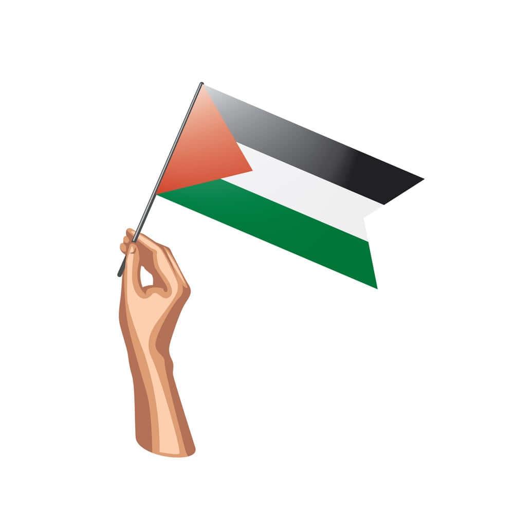 a hand holding a palestinian flag — 1000x998 wallpaper