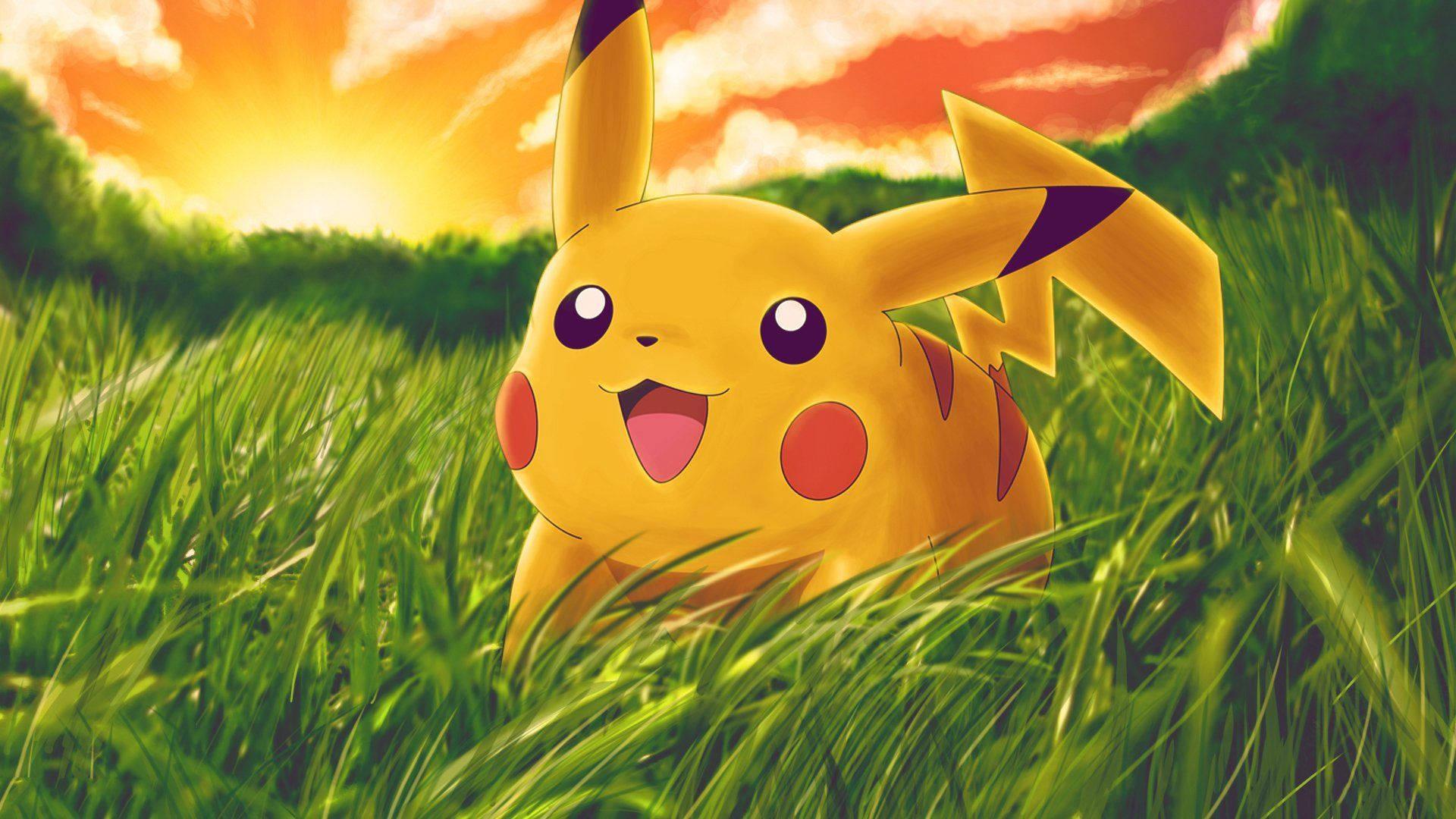 A Hopeful Pikachu Enjoys Life in the Great Outdoors — 1920x1080 wallpaper