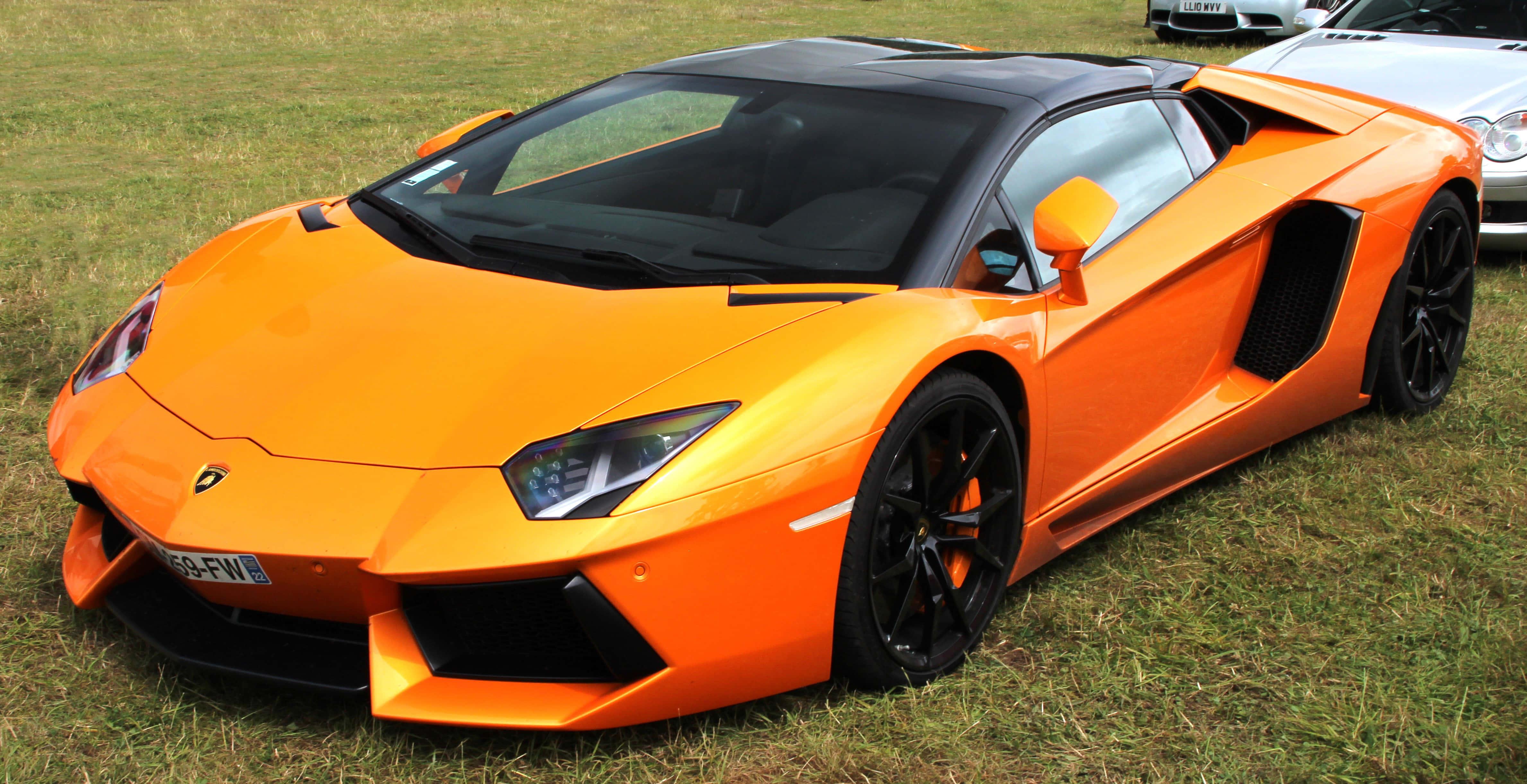 a lamborghini gt4 parked in the grass — 4756x2443 wallpaper