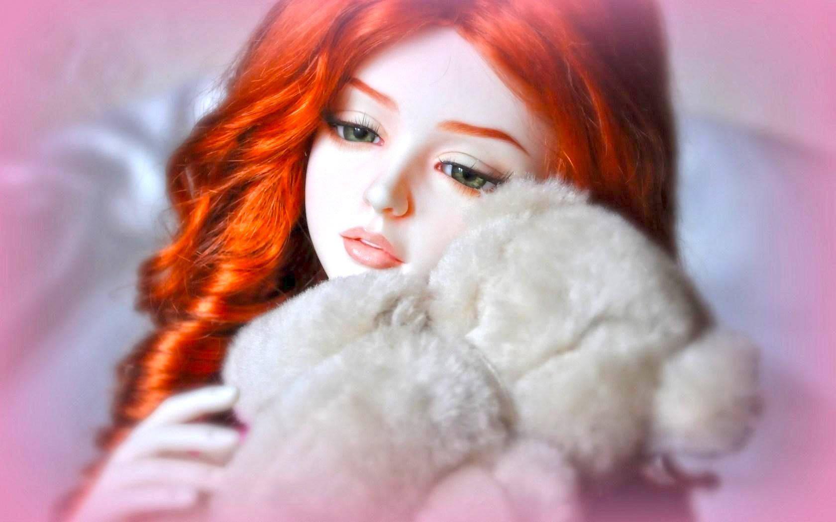 A lonely Barbie and her furry friend — 1680x1050 wallpaper