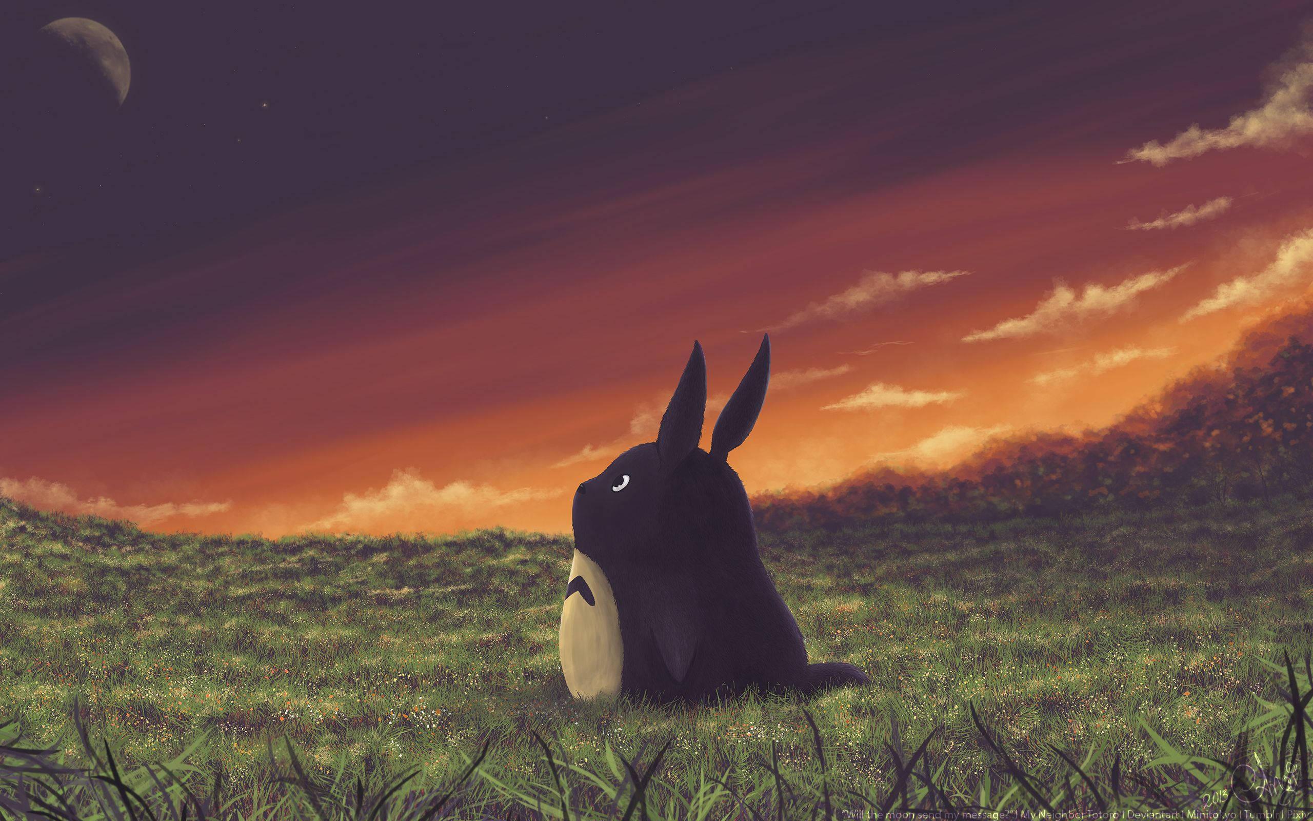 A Magical Sunset in the Field with Totoro — 2560x1600 wallpaper