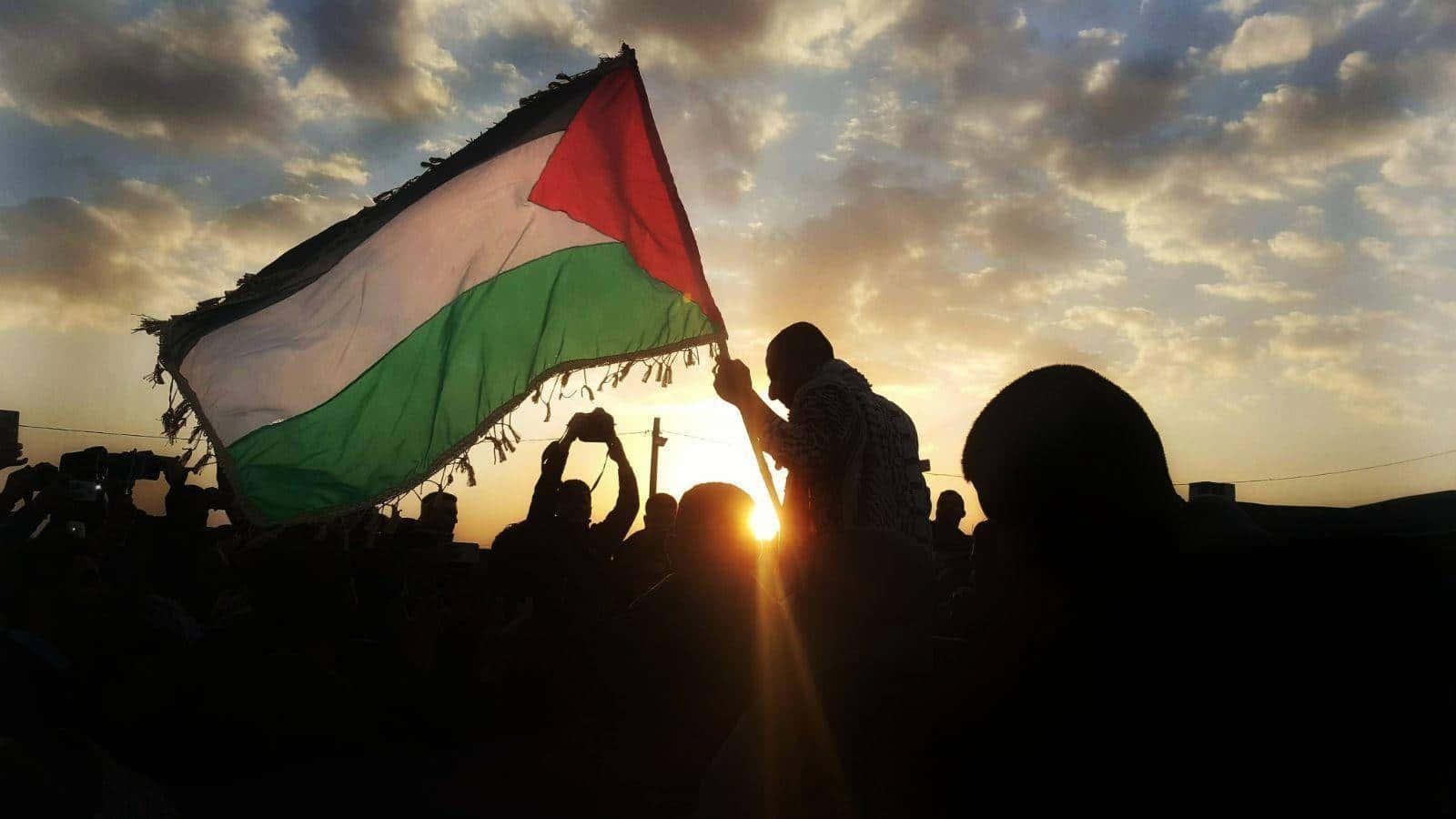 a man holds up a palestinian flag in the sun — 1600x900 wallpaper