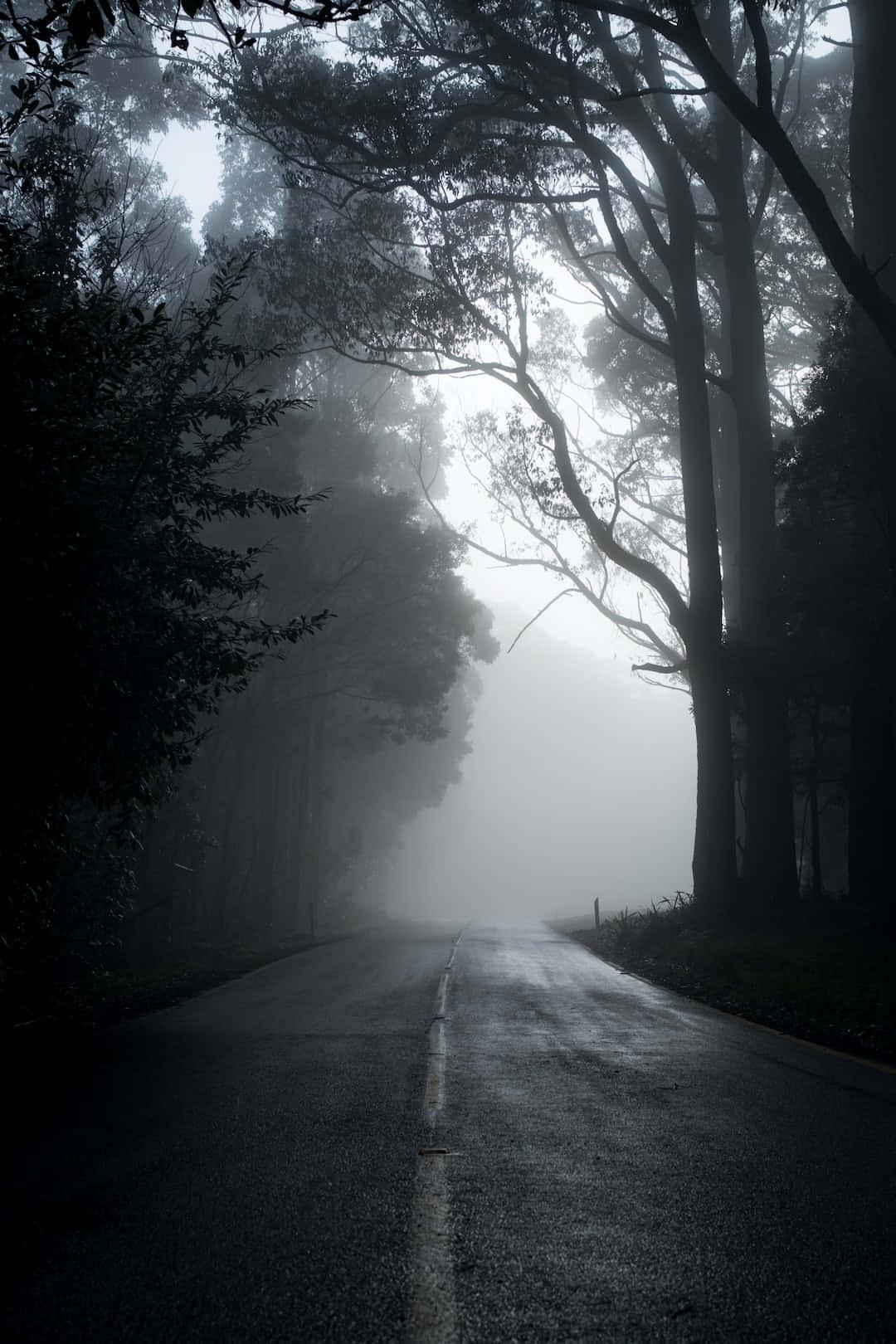 A Mysterious Enchantment: The Alluring Beauty of Darkness — 1080x1620 wallpaper