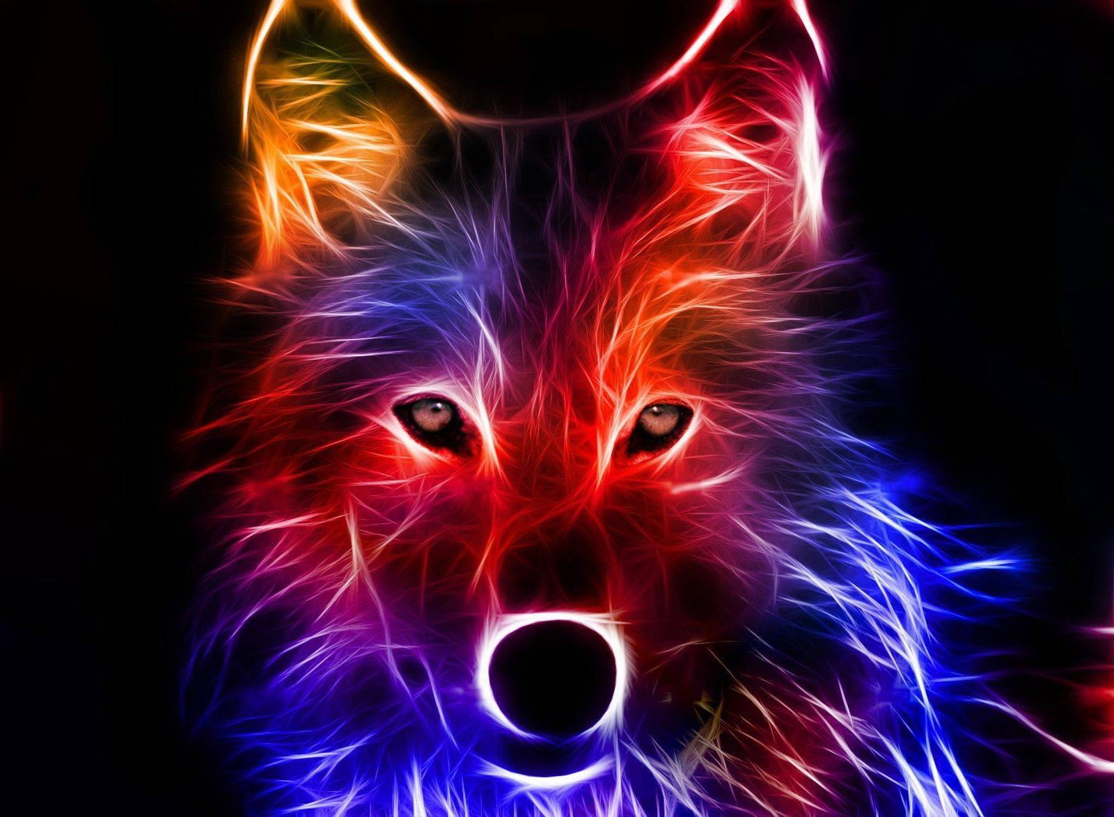 A mysterious glowing wolf stands in the night — 1600x1174 wallpaper